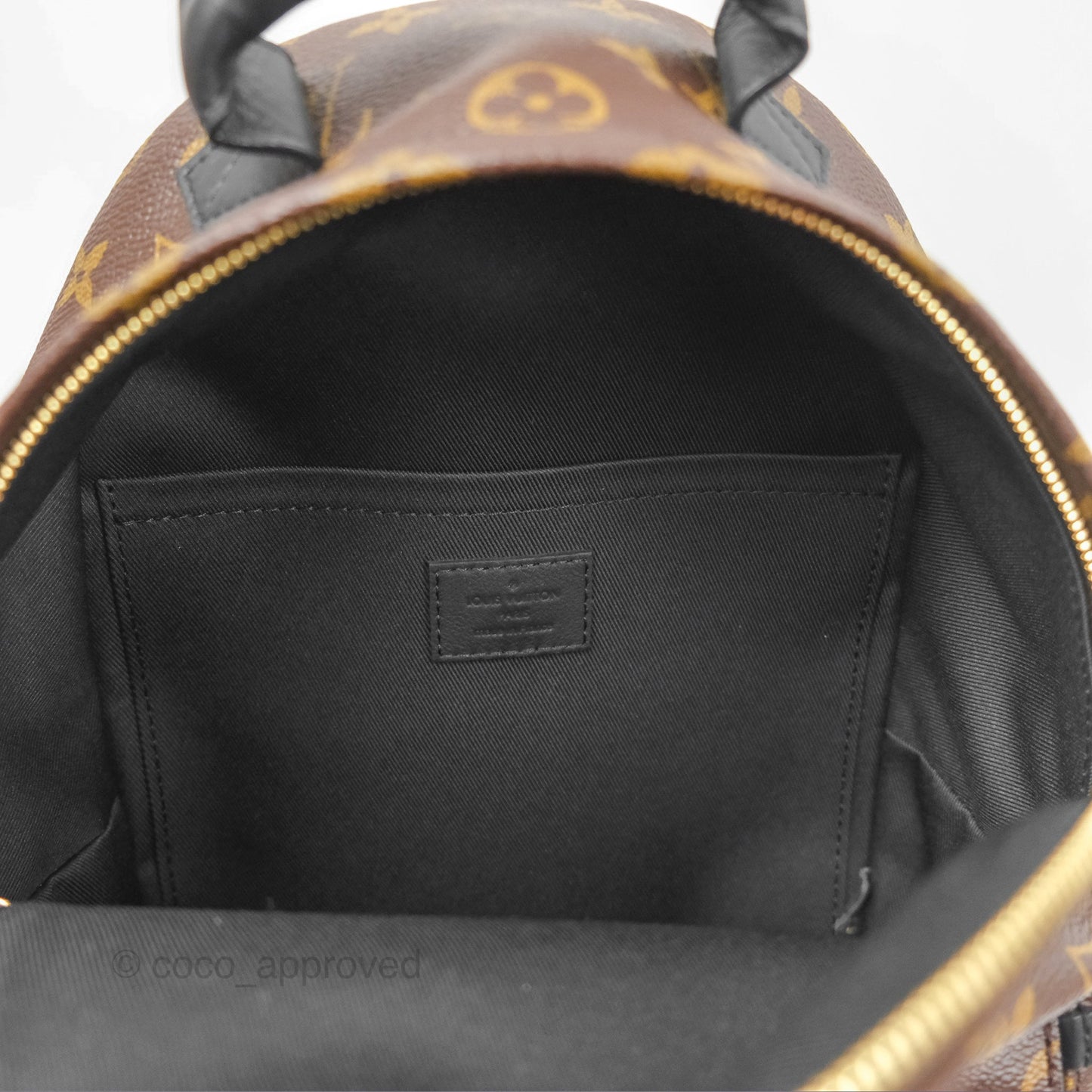 Louis Vuitton Palm Springs Backpack⁣ Monogram PM
