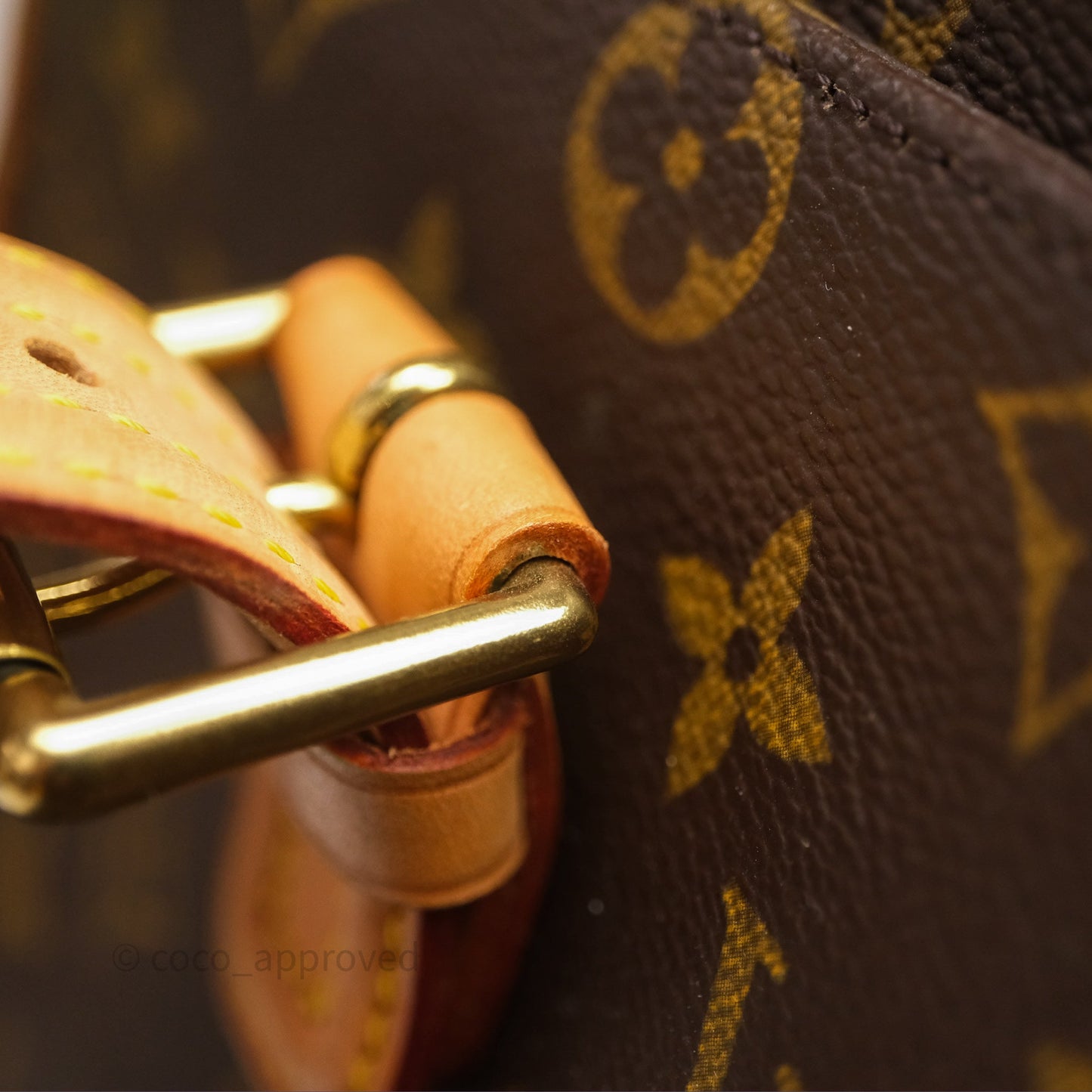 Louis Vuitton Multipli-Cite Tote Monogram Canvas