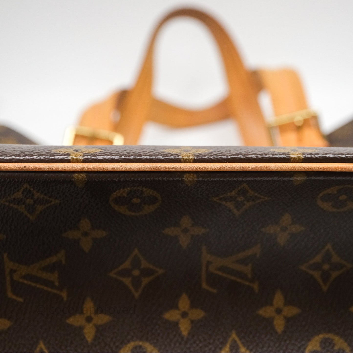Louis Vuitton Multipli-Cite Tote Monogram Canvas