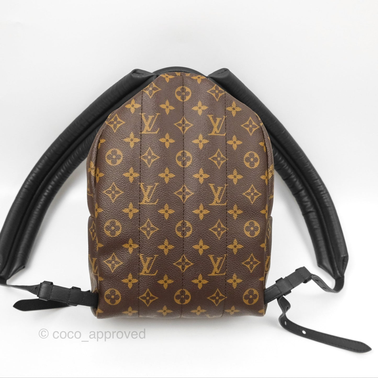 Louis Vuitton Palm Springs Backpack⁣ Monogram PM
