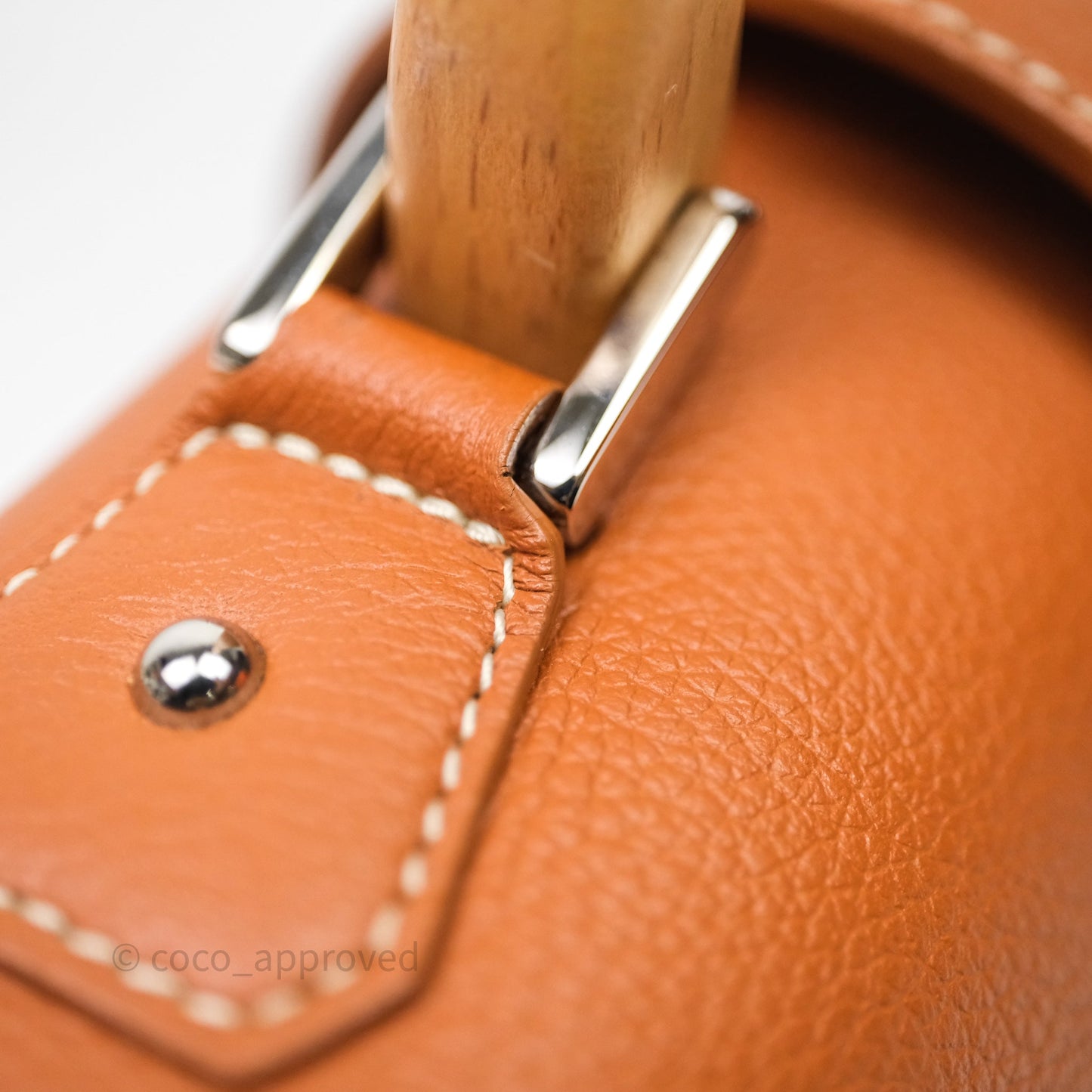 Goyard Saïgon Mini Bag Tan Goyardine Canvas/Chevroches Calfskin