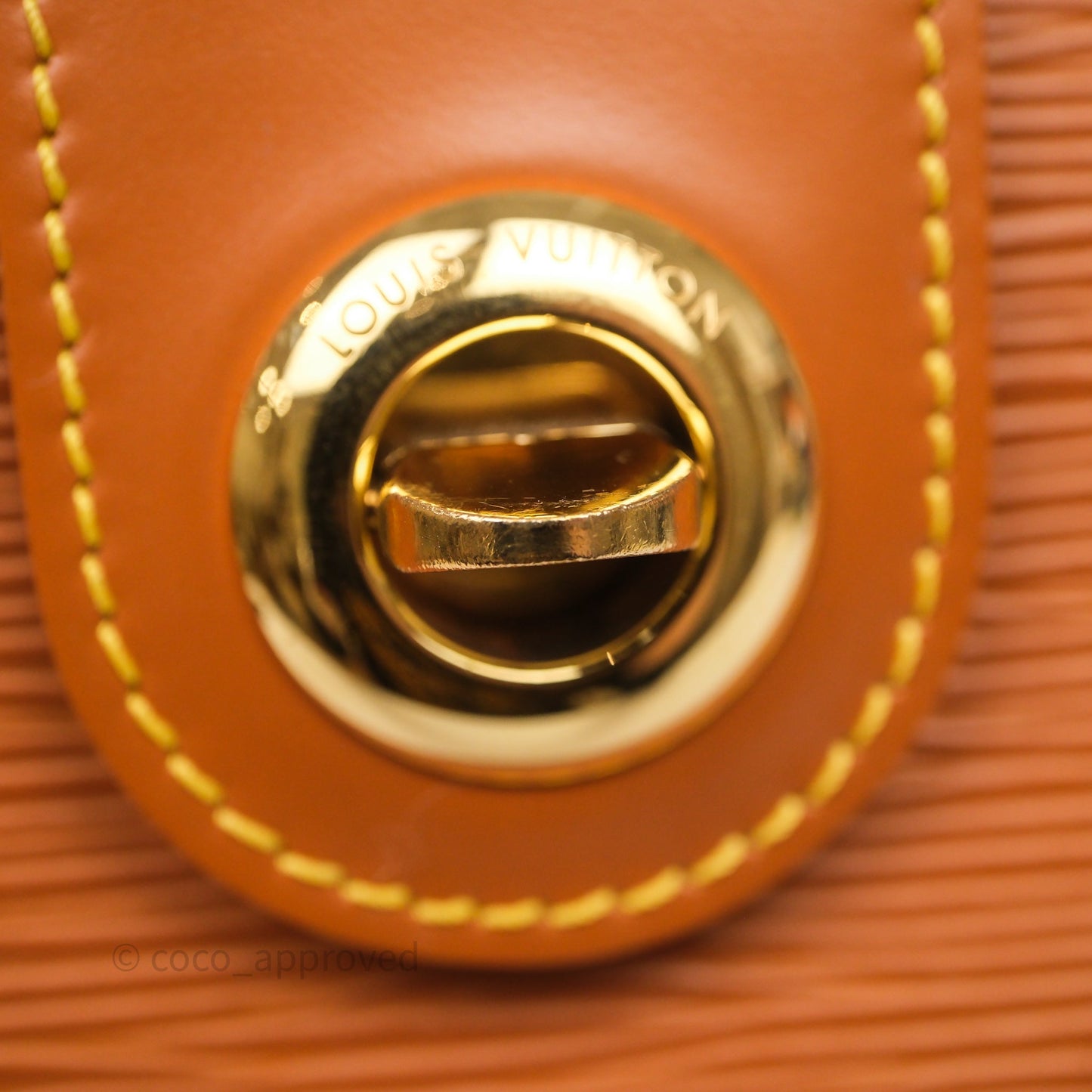Louis Vuitton Cluny Shoulder Bag Brown Epi