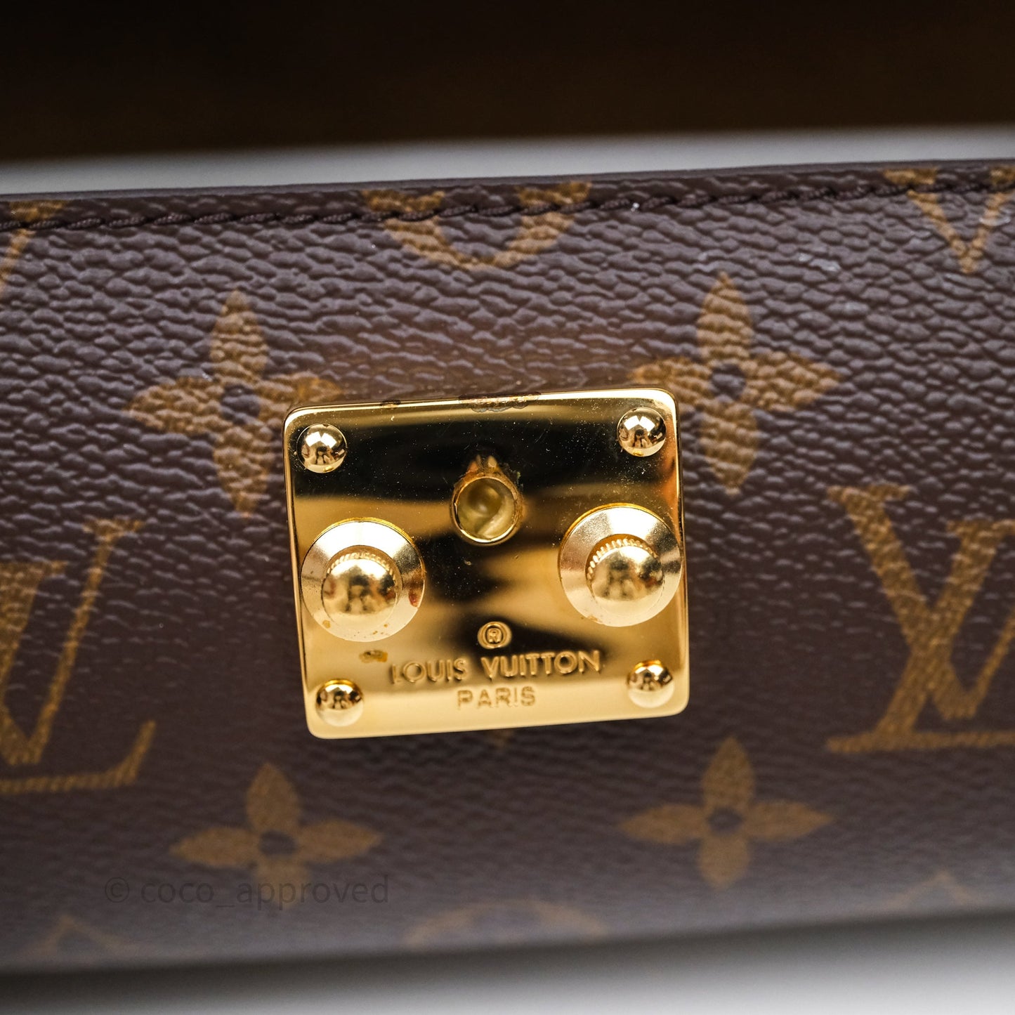 Louis Vuitton Monogram Papillon Trunk Bag