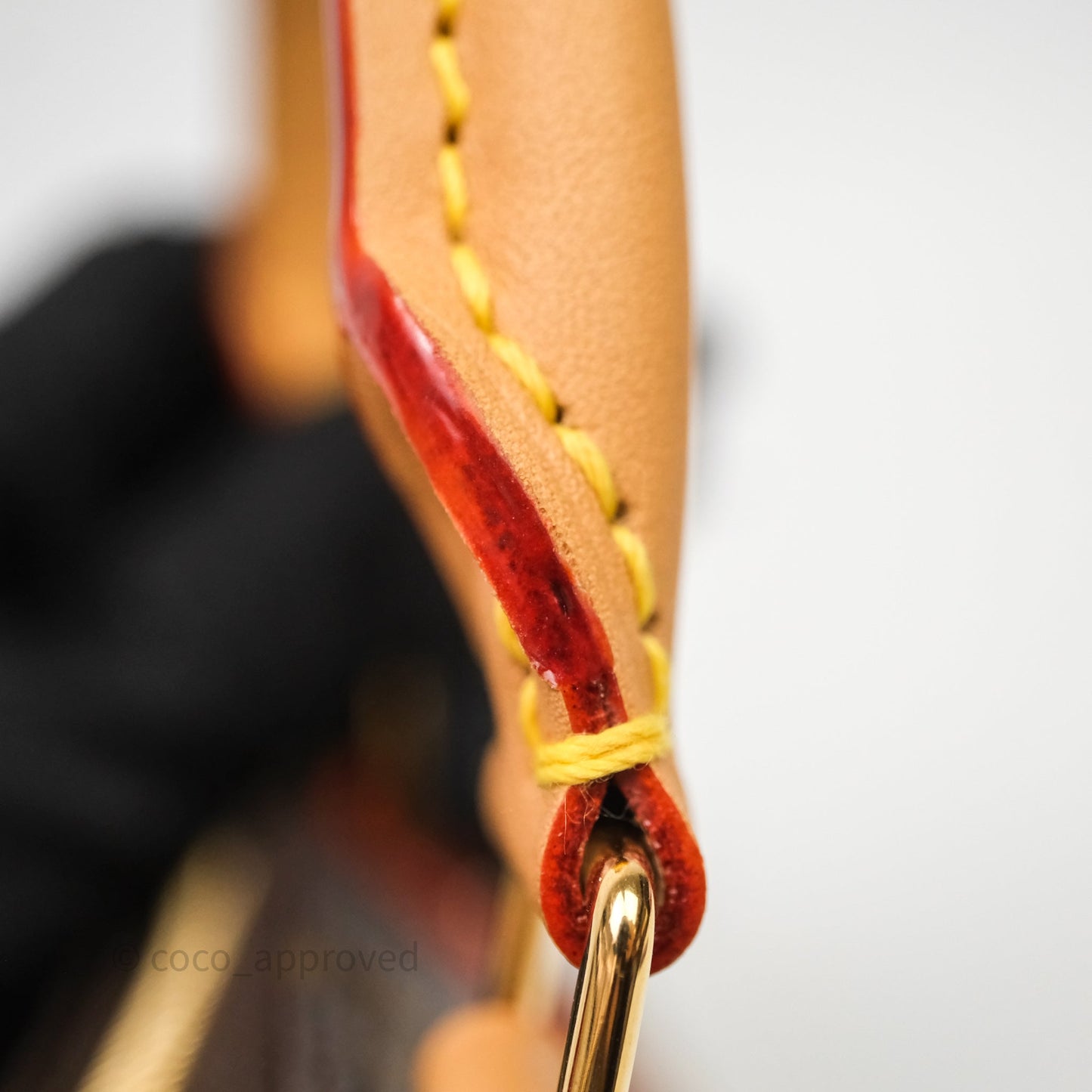 Louis Vuitton Nano Speedy Monogram