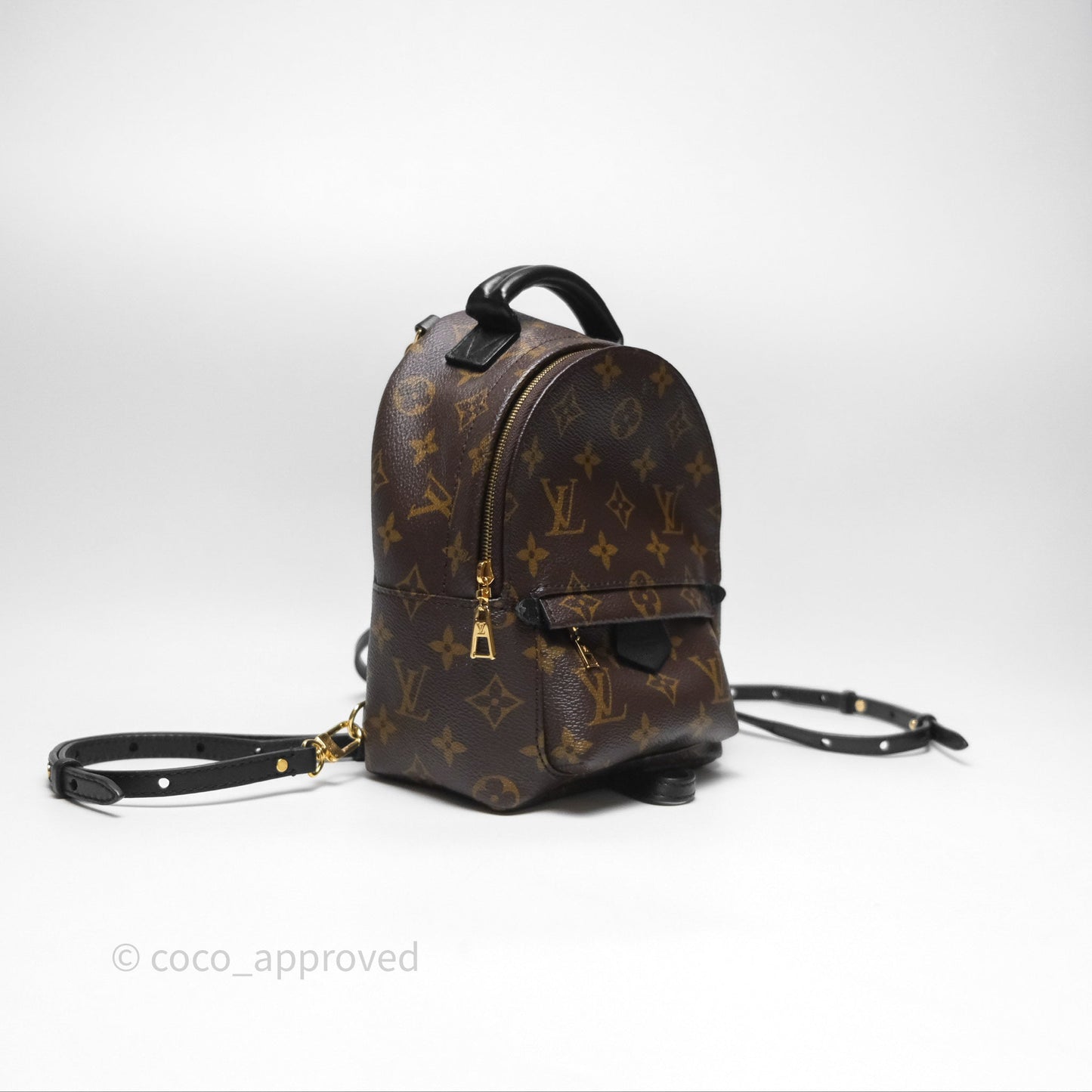 Louis Vuitton Monogram Mini Palm Springs Backpack⁣
