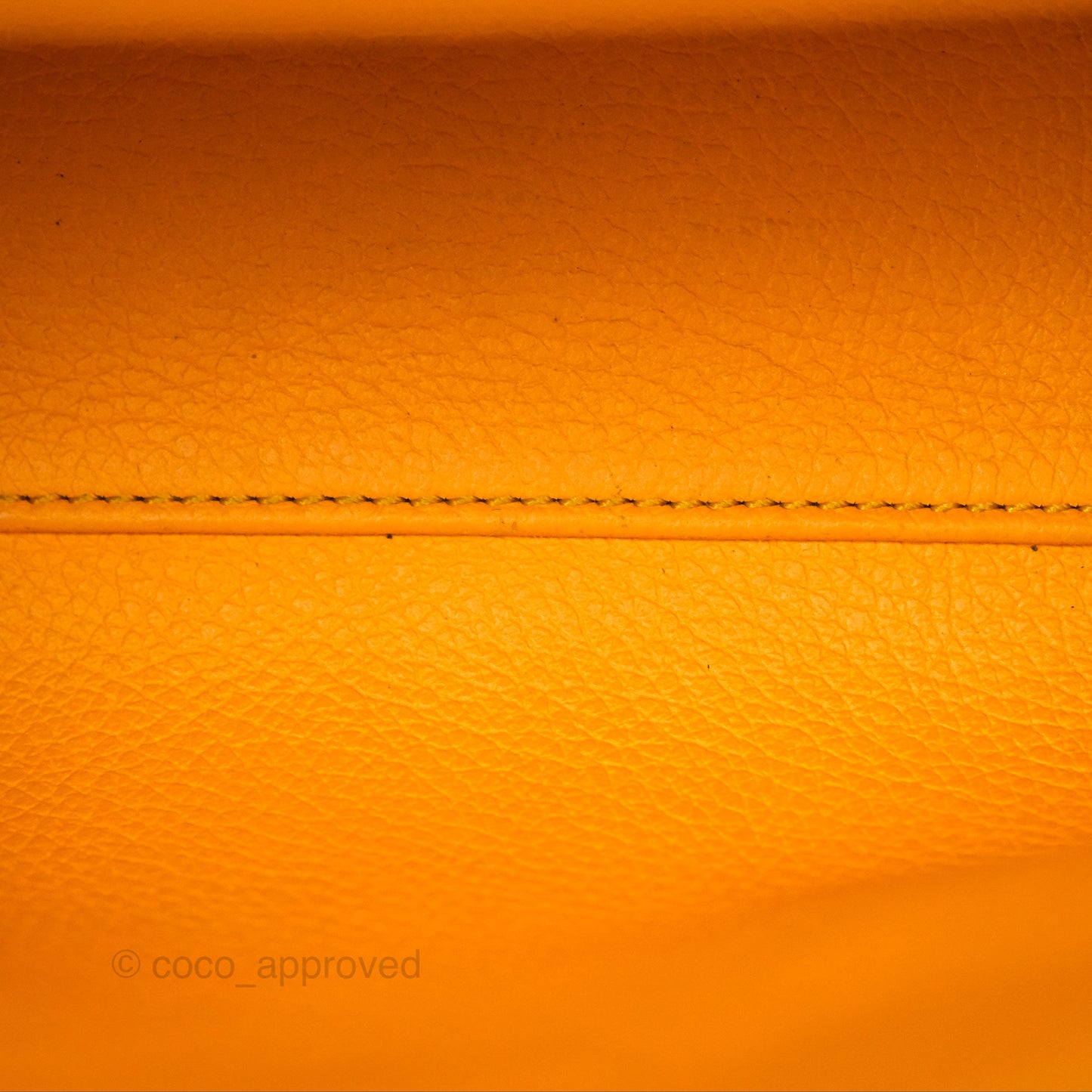Goyard Saïgon Mini Bag Tan Goyardine Canvas/Chevroches Calfskin