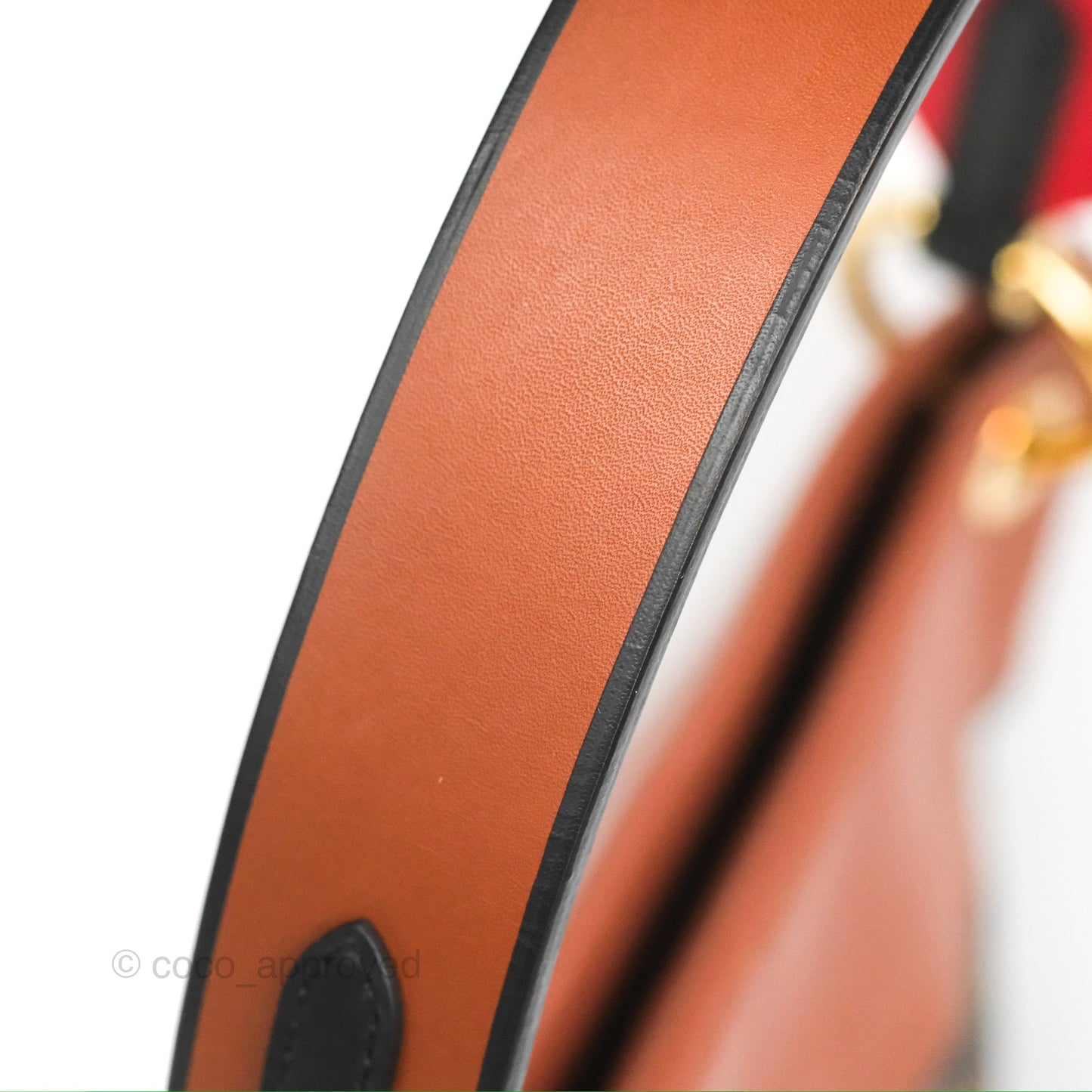 Louis Vuitton Tuileries Besace Bag Brown/Red Monogram