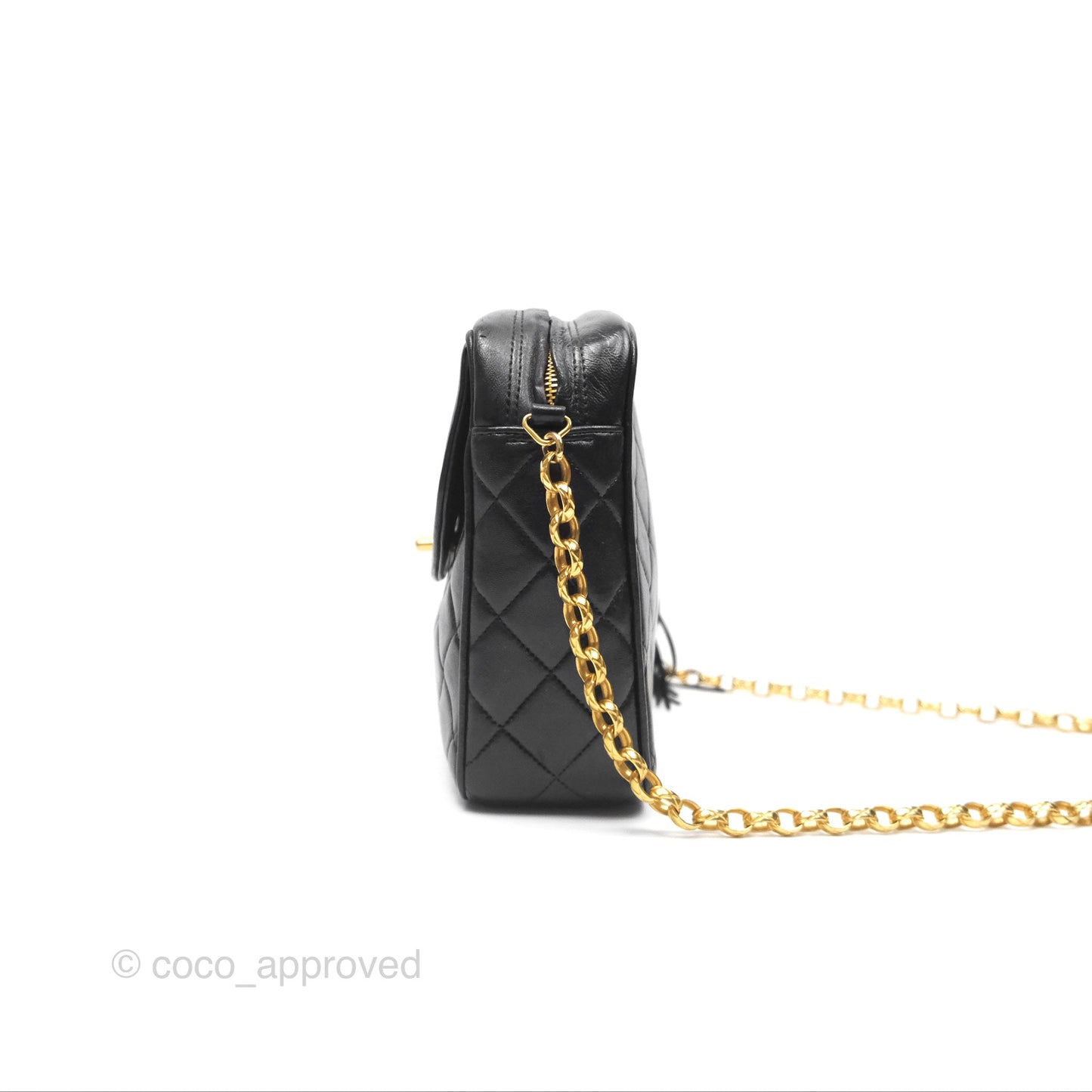 Chanel Vintage Diana Fringe Camera Bag Black Lambskin 24K Gold Hardware