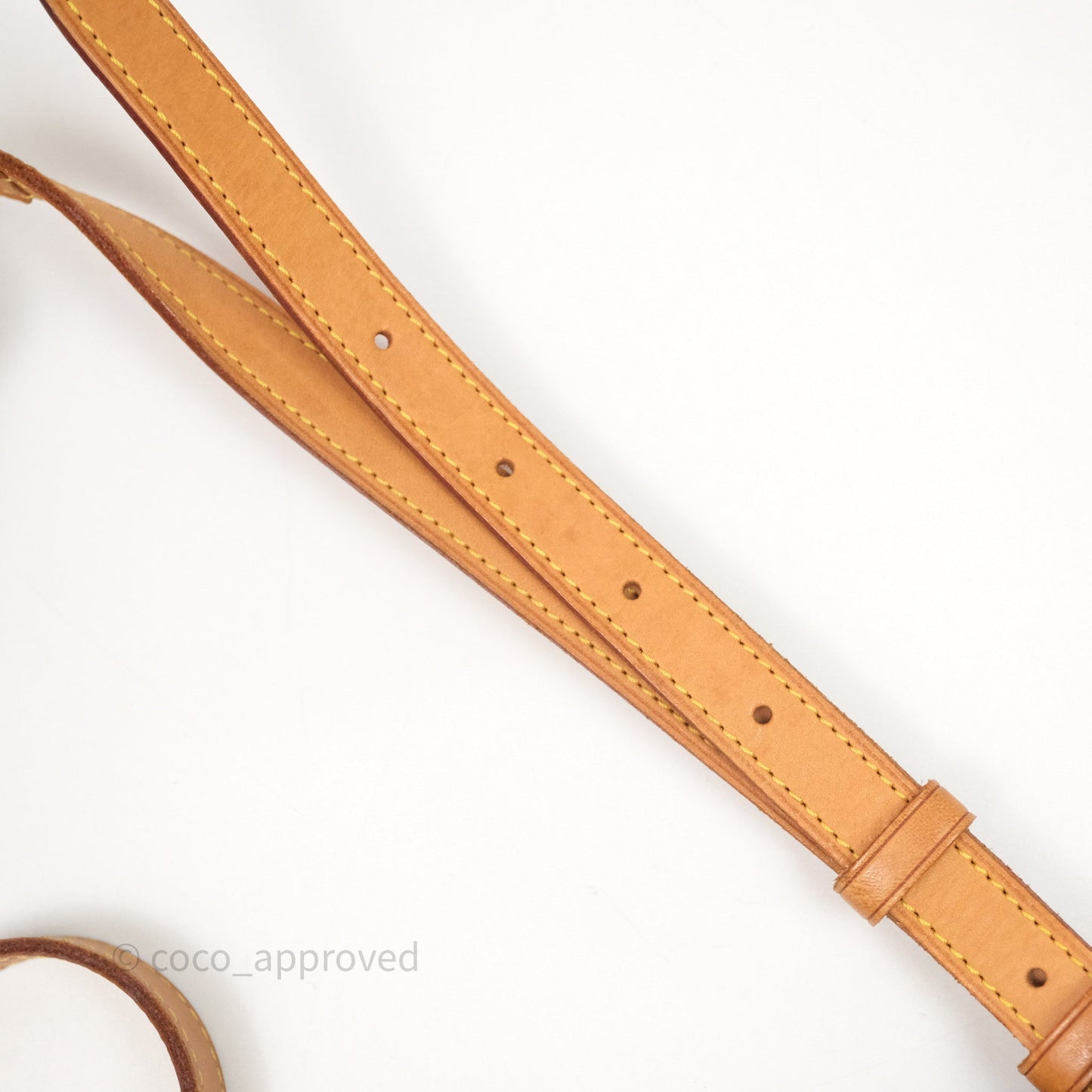 Louis Vuitton Vintage Diane Bag Monogram Canvas