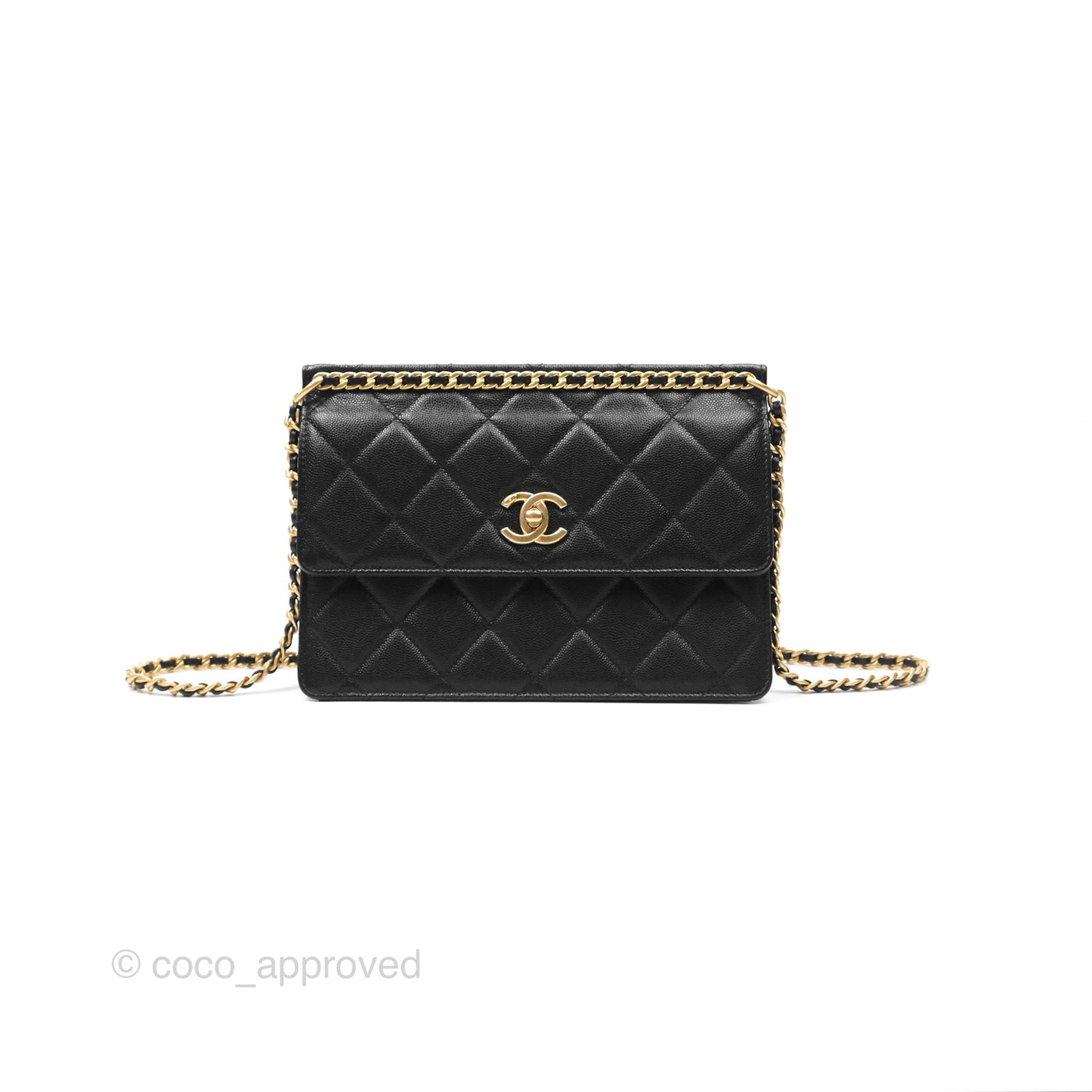 Chanel Chain Flap Bag Black Caviar Aged Gold Hardware 23A