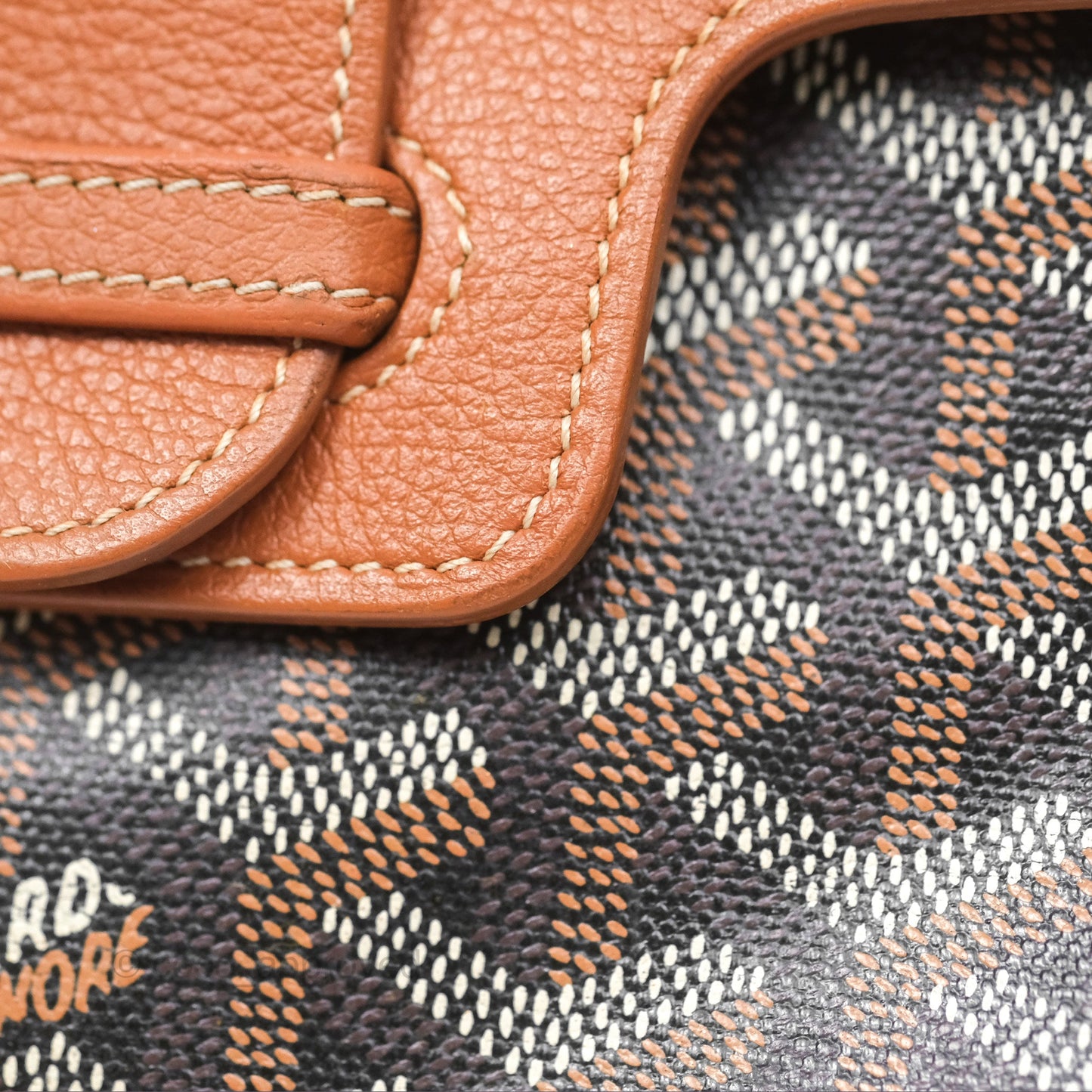 Goyard Saïgon Mini Bag Tan Goyardine Canvas/Chevroches Calfskin