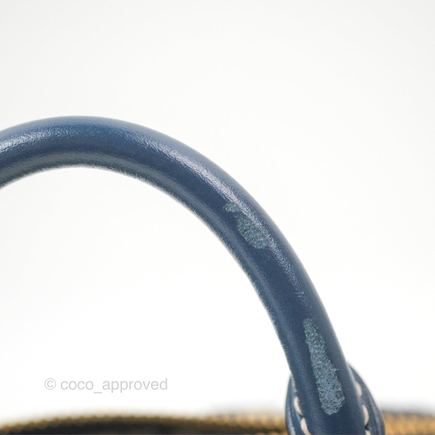 Louis Vuitton Nano Speedy Denim Monogram Blue