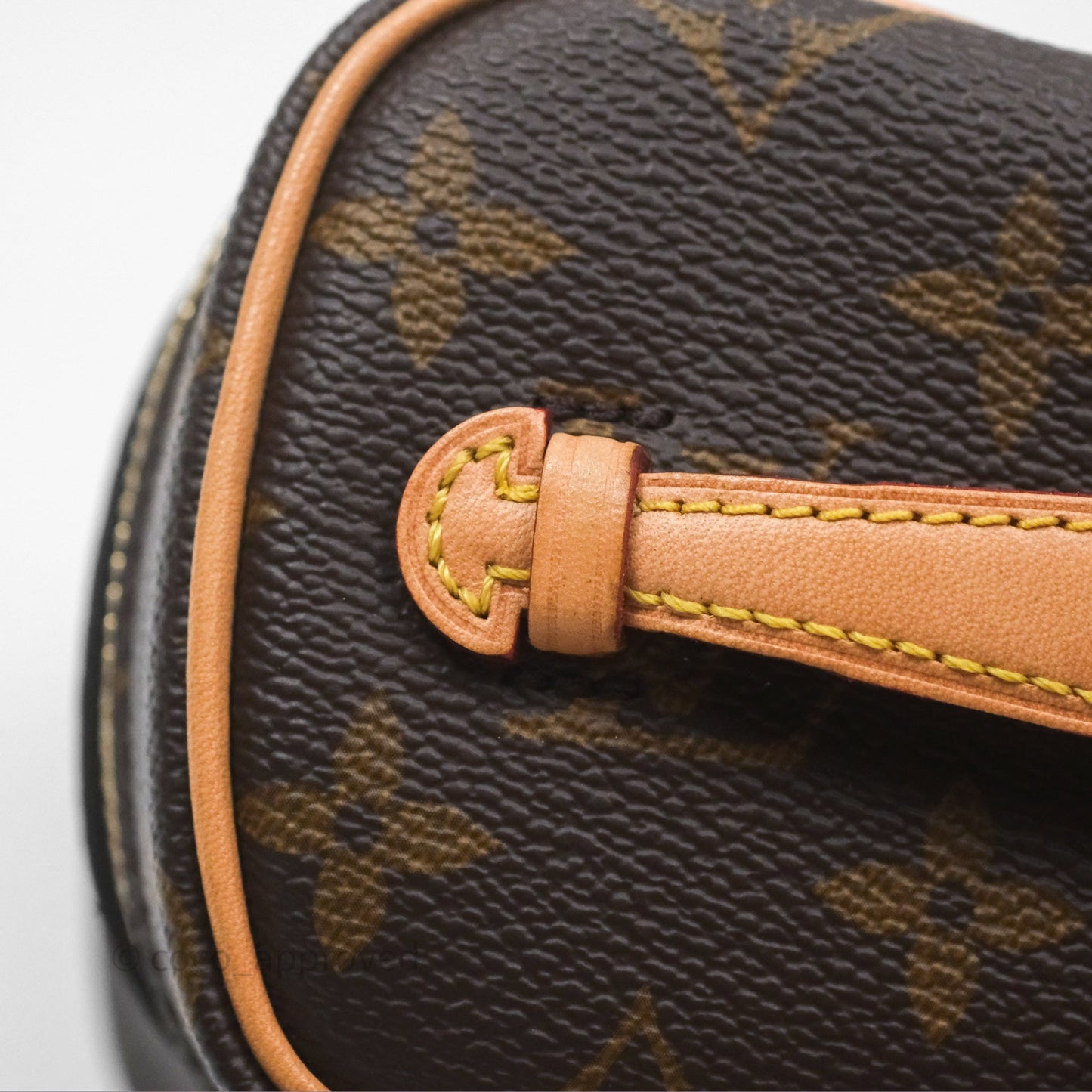 Louis Vuitton Monogram Nice Nano