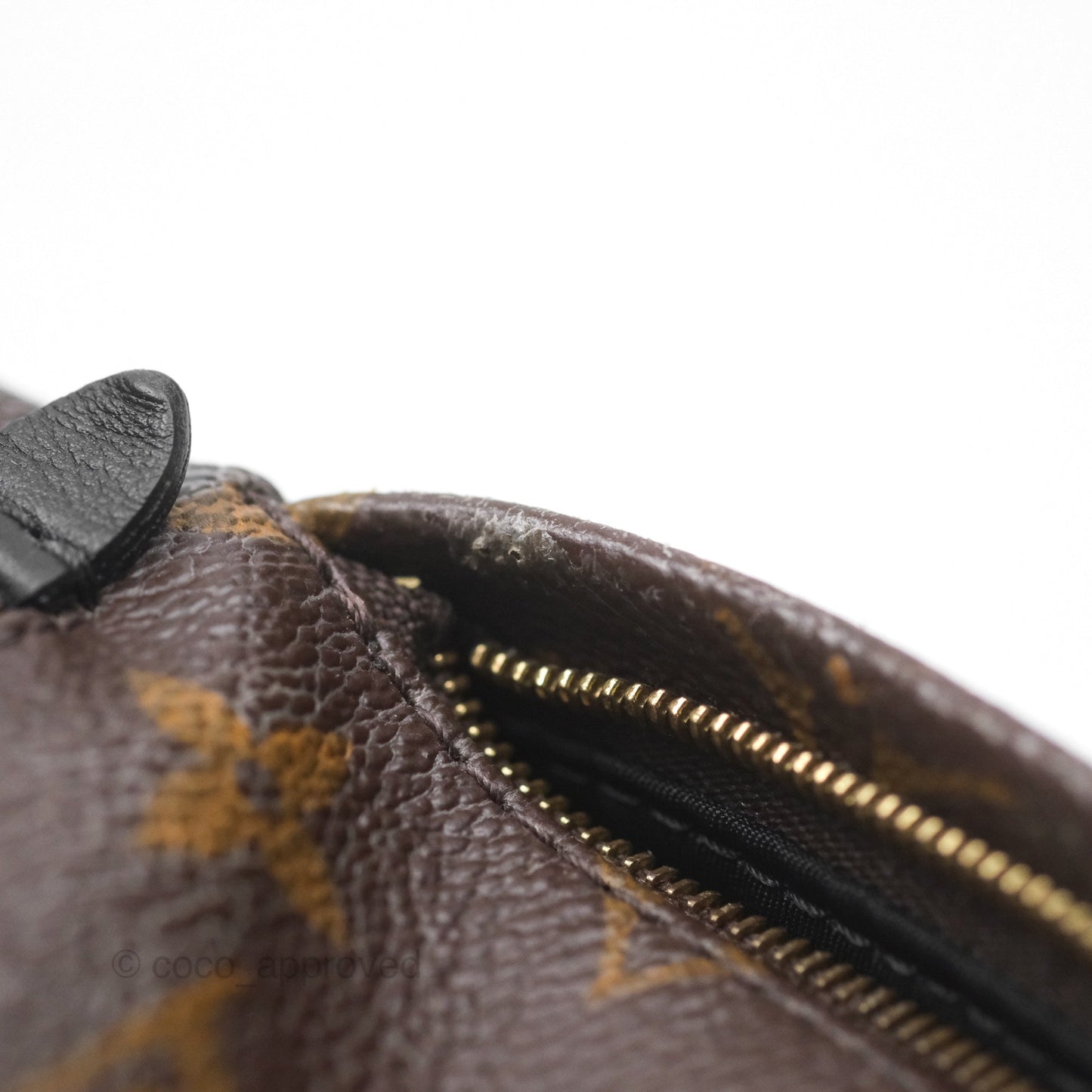 Louis Vuitton Monogram Mini Palm Springs Backpack⁣