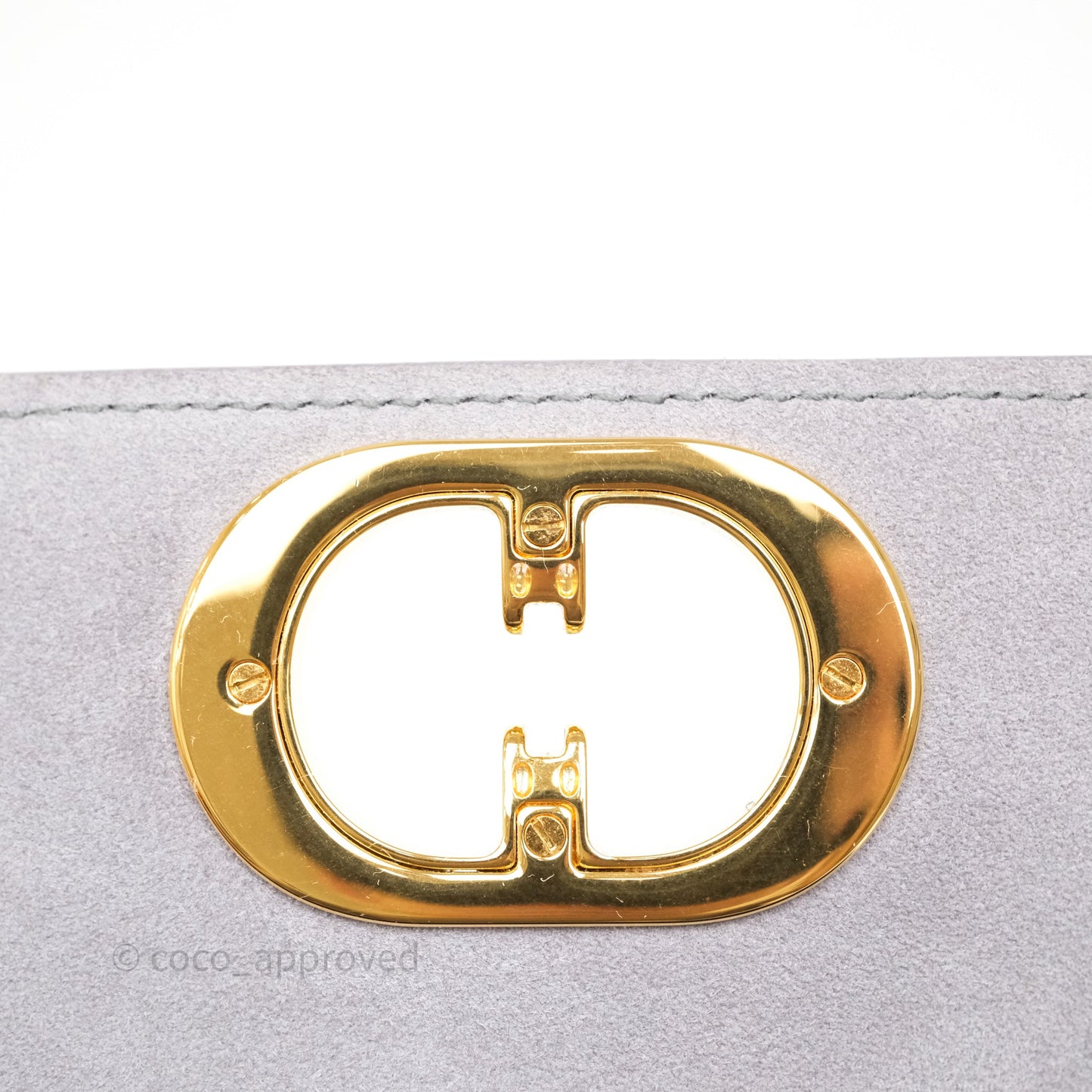 Dior 30 Montaigne Avenue Bag Grey Box Calfskin