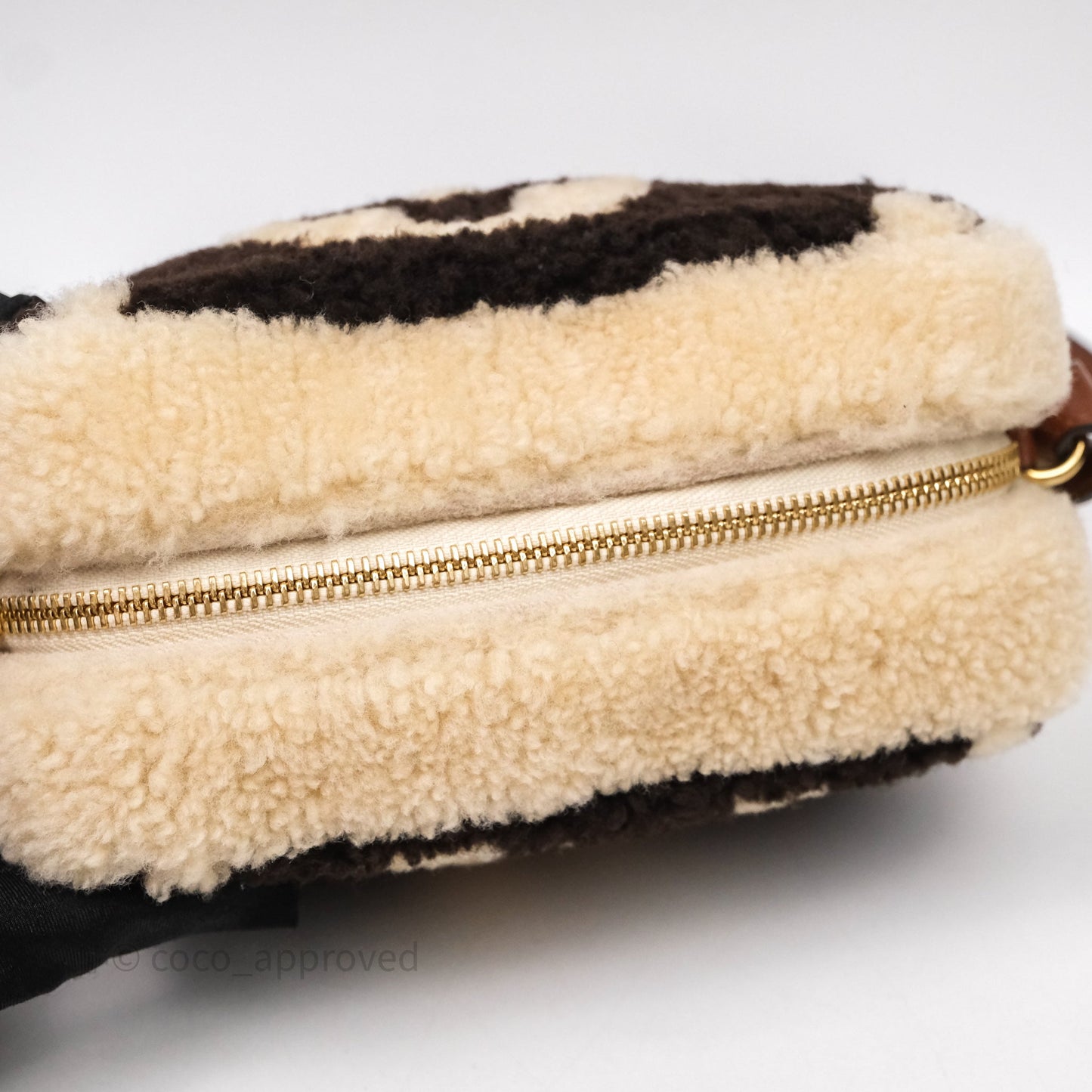 Louis Vuitton Teddy Beach Pouch Monogram