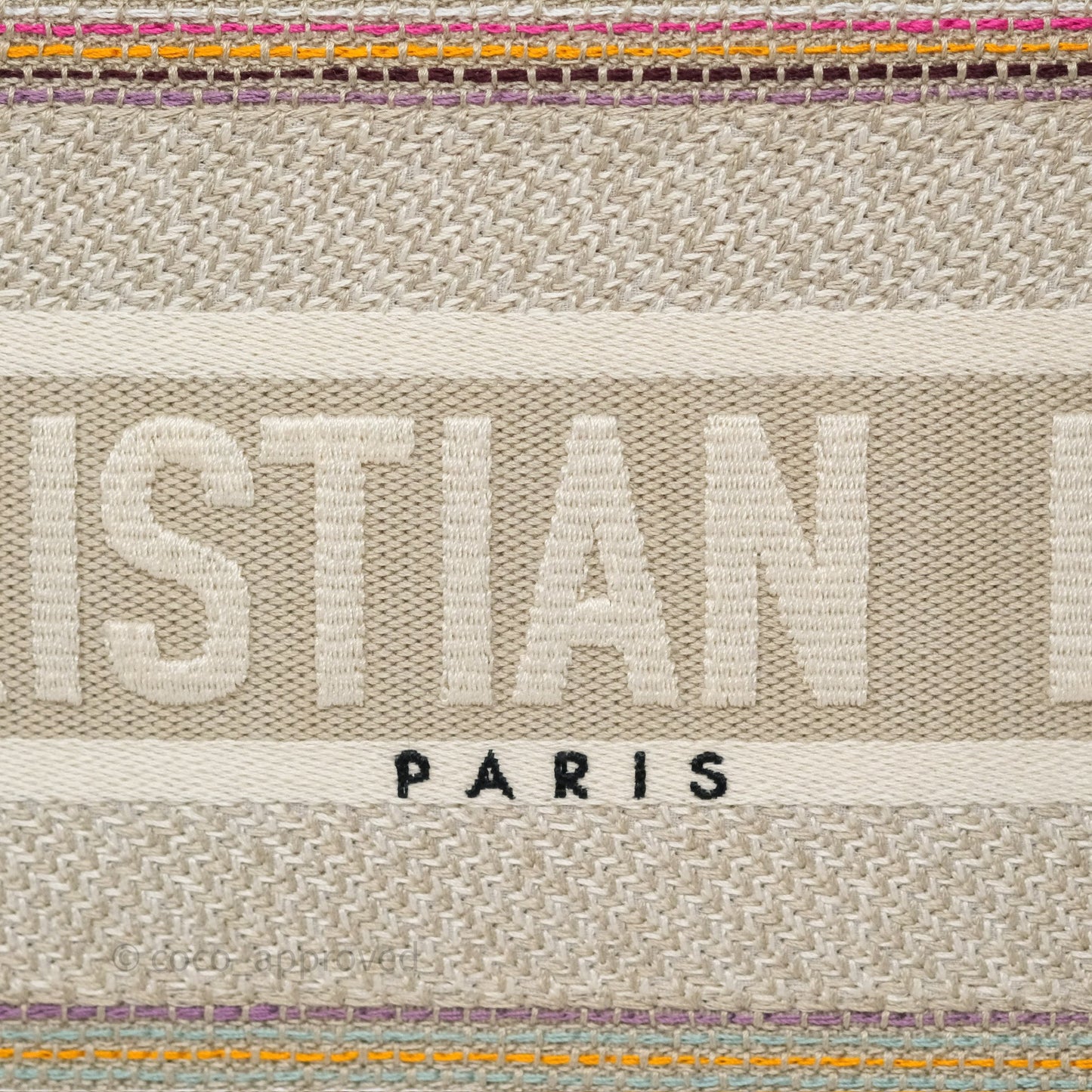 Christian Dior Medium Rainbow Book Tote Canvas