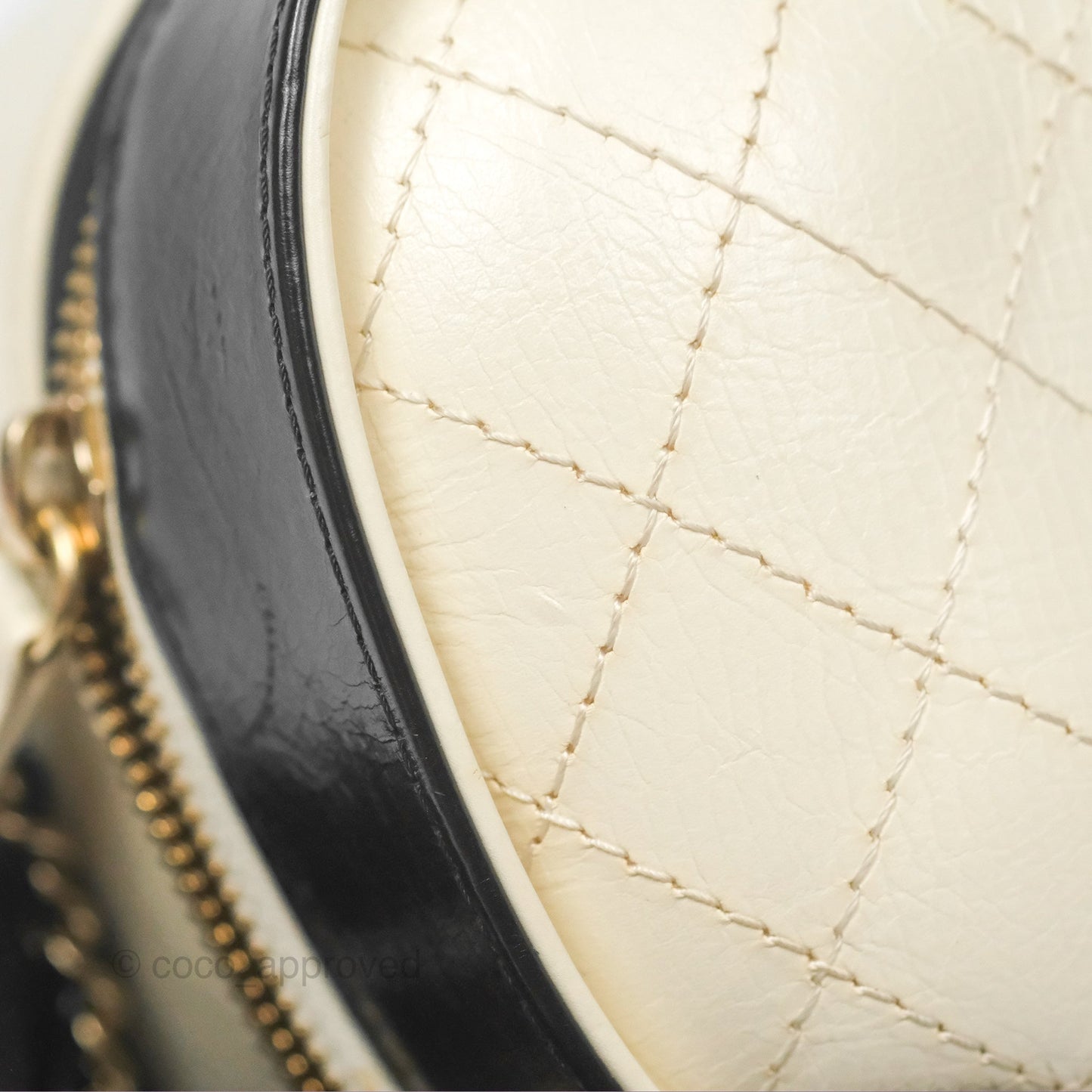 Chanel Camera Case Bag Black/White Calfskin Gold Hardware
