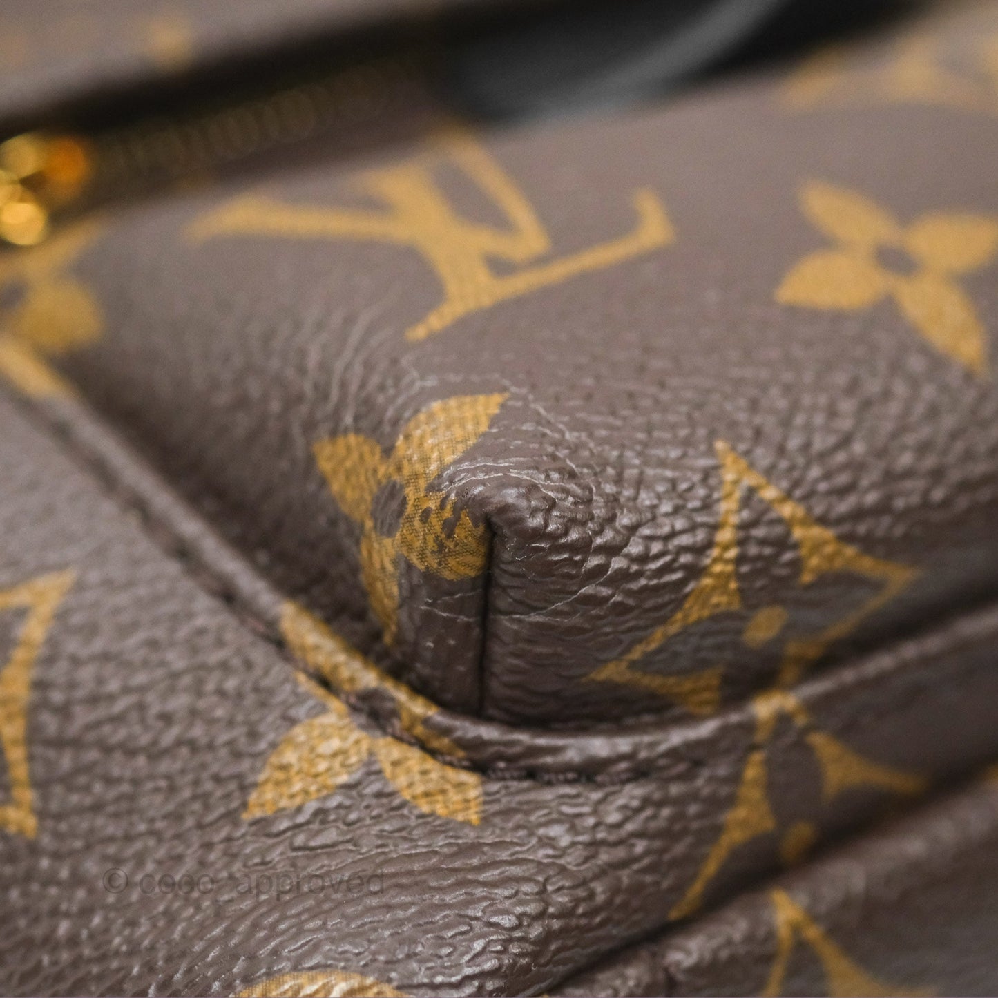 Louis Vuitton Mini Palm Springs Backpack⁣ Monogram