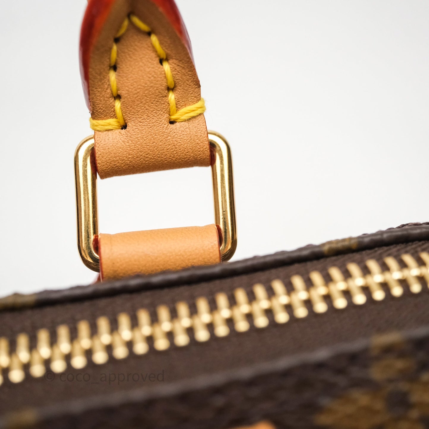 Louis Vuitton Nano Speedy Monogram