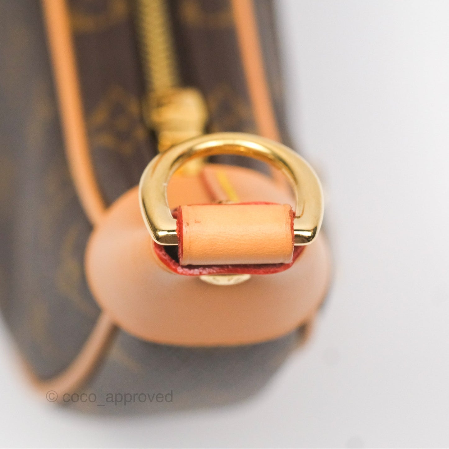 Louis Vuitton Loop Monogram Canvas