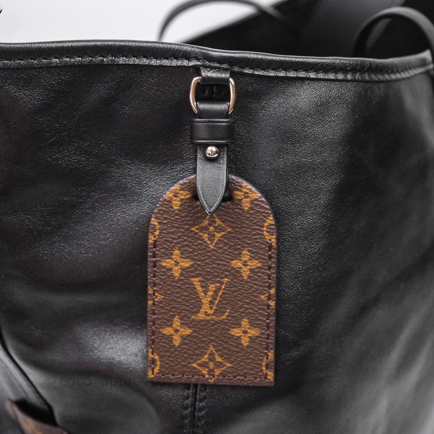 Louis Vuitton CarryAll Vibe MM Black