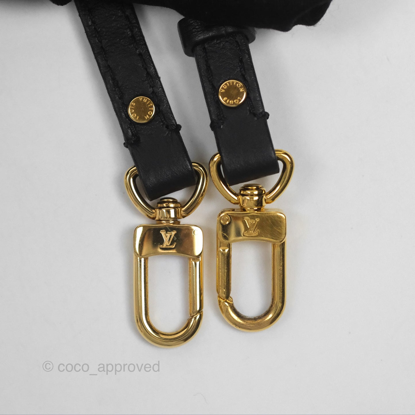 Louis Vuitton Monogram Mini Palm Springs Backpack⁣