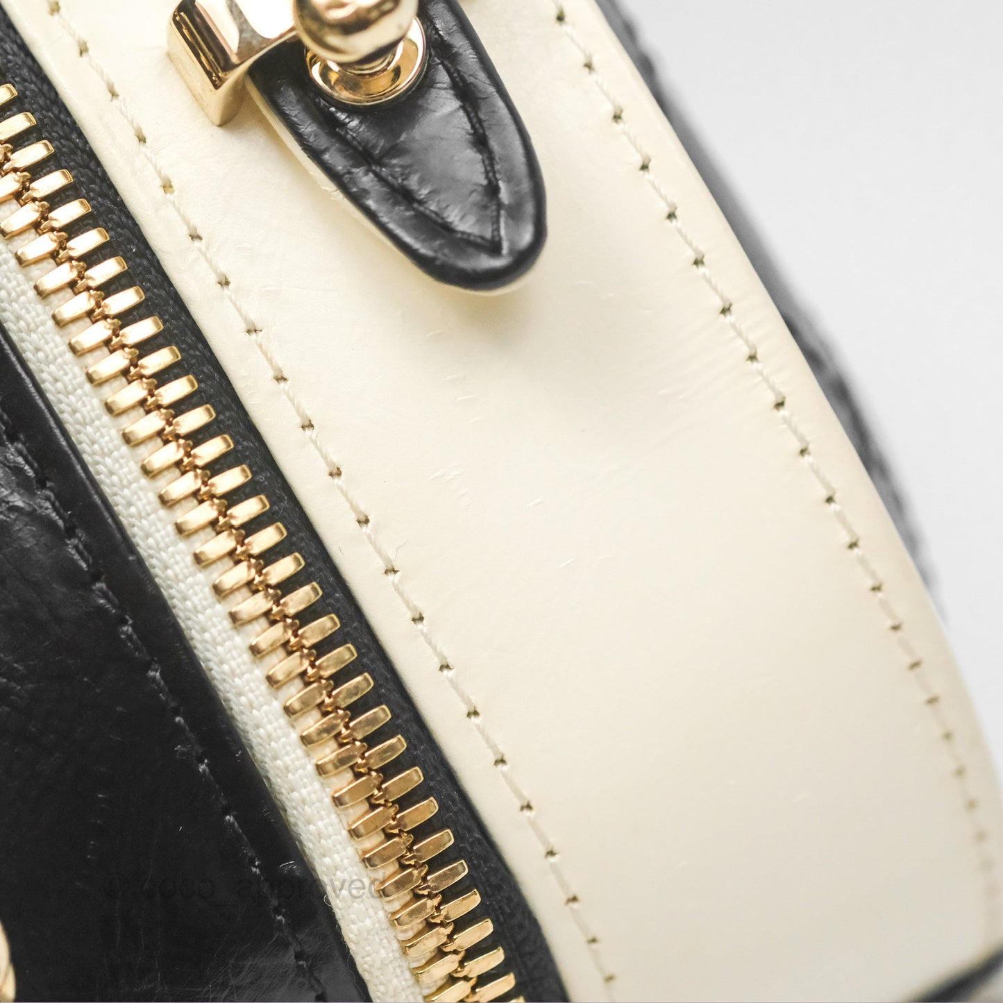 Chanel Camera Case Bag Black/White Calfskin Gold Hardware