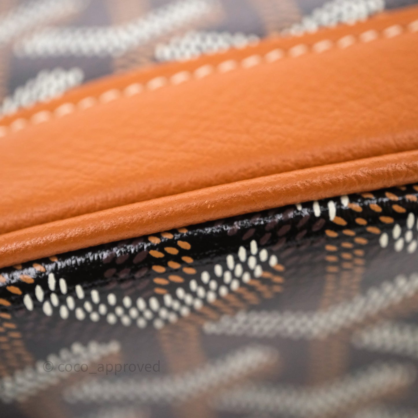 Goyard Mini Alpin Backpack Black/ Tan  Goyardine Calfskin