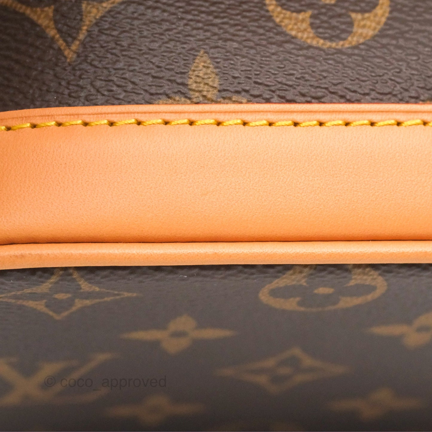 Louis Vuitton Nano Noe Monogram Canvas