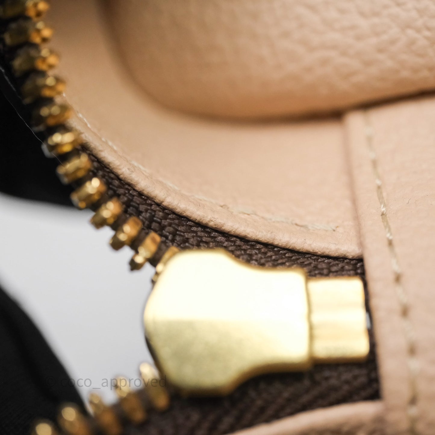 Louis Vuitton Nice Nano Monogram Canvas