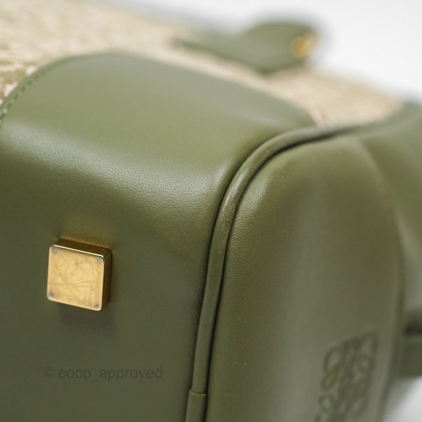 Loewe Amazona 19 Square Green/ Avocado Green in Anagram Jacquard and Calfskin