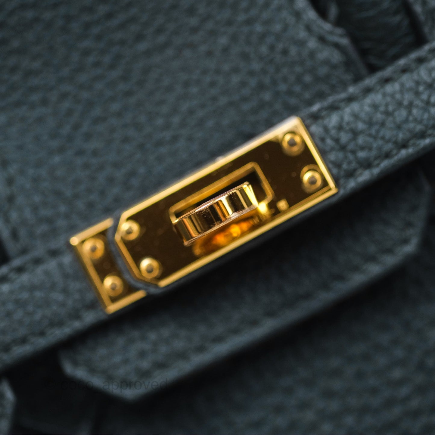 Hermès Birkin 25 Retourne Vert Cypres 6O Togo Gold Hardware