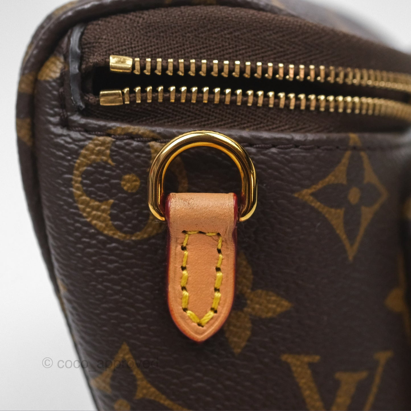 Louis Vitton Mini Bumbag in Monogram Canvas