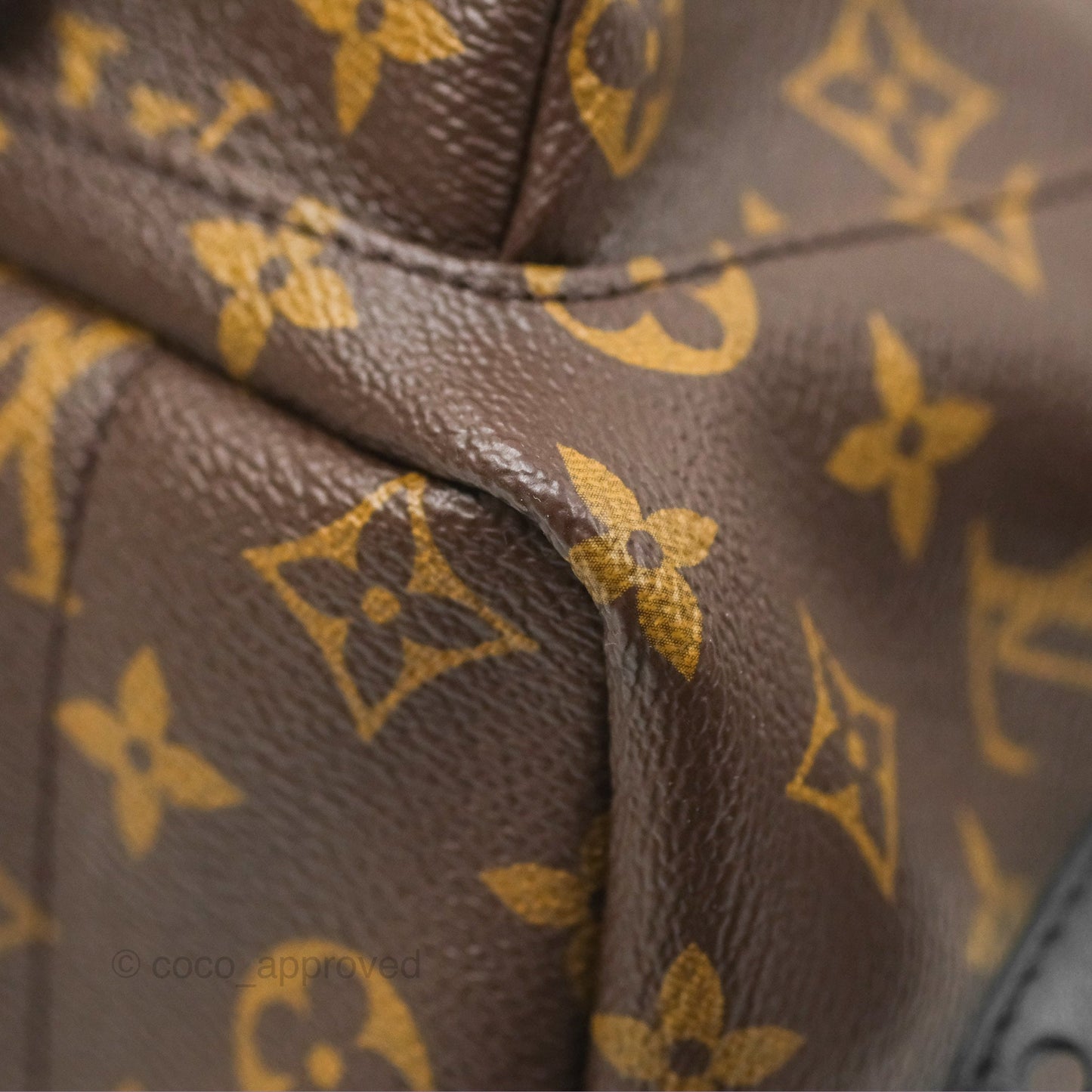 Louis Vuitton Palm Springs Backpack⁣ Monogram PM