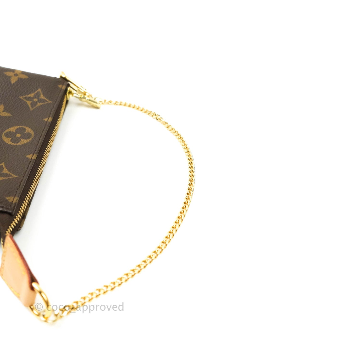 Louis Vuitton Monogram Canvas Mini Pochette Accessories