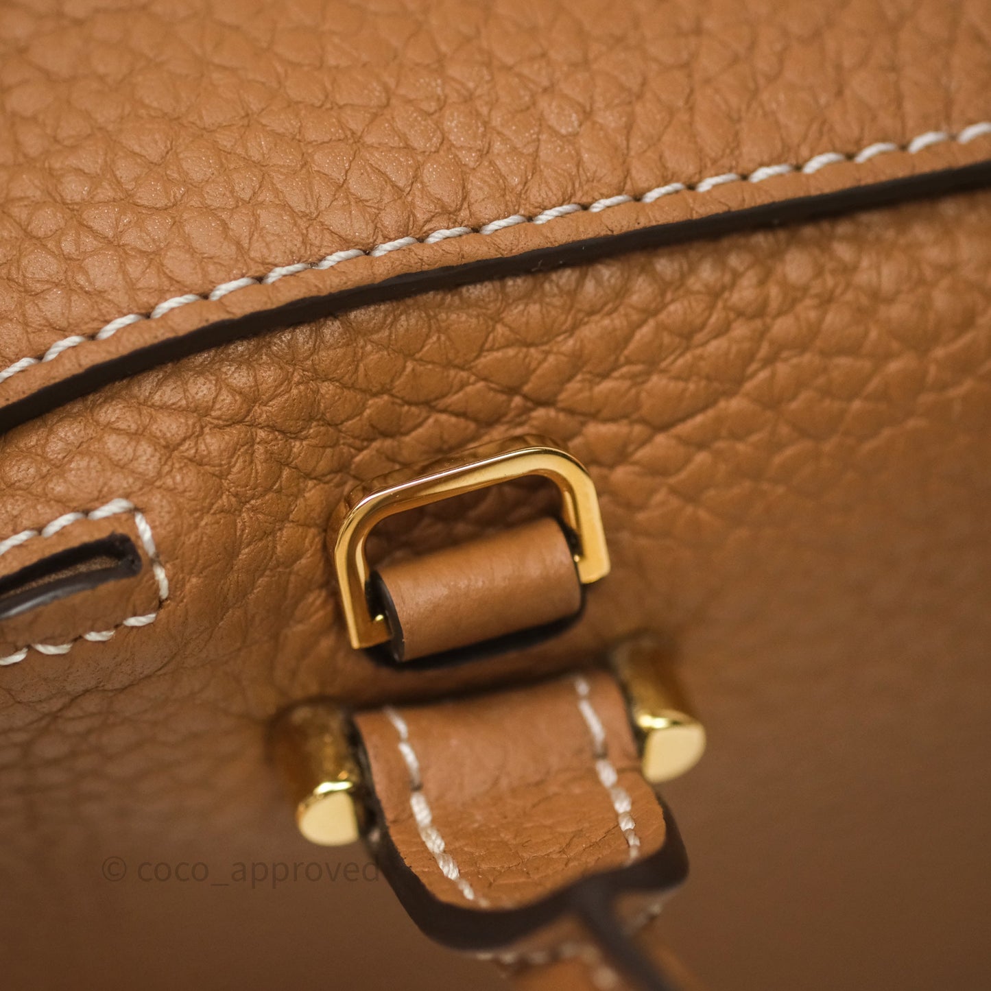 Delvaux Cool Box Nano Taurillon Soft Grained Calfskin Vegetal Ivory Gold Hardware