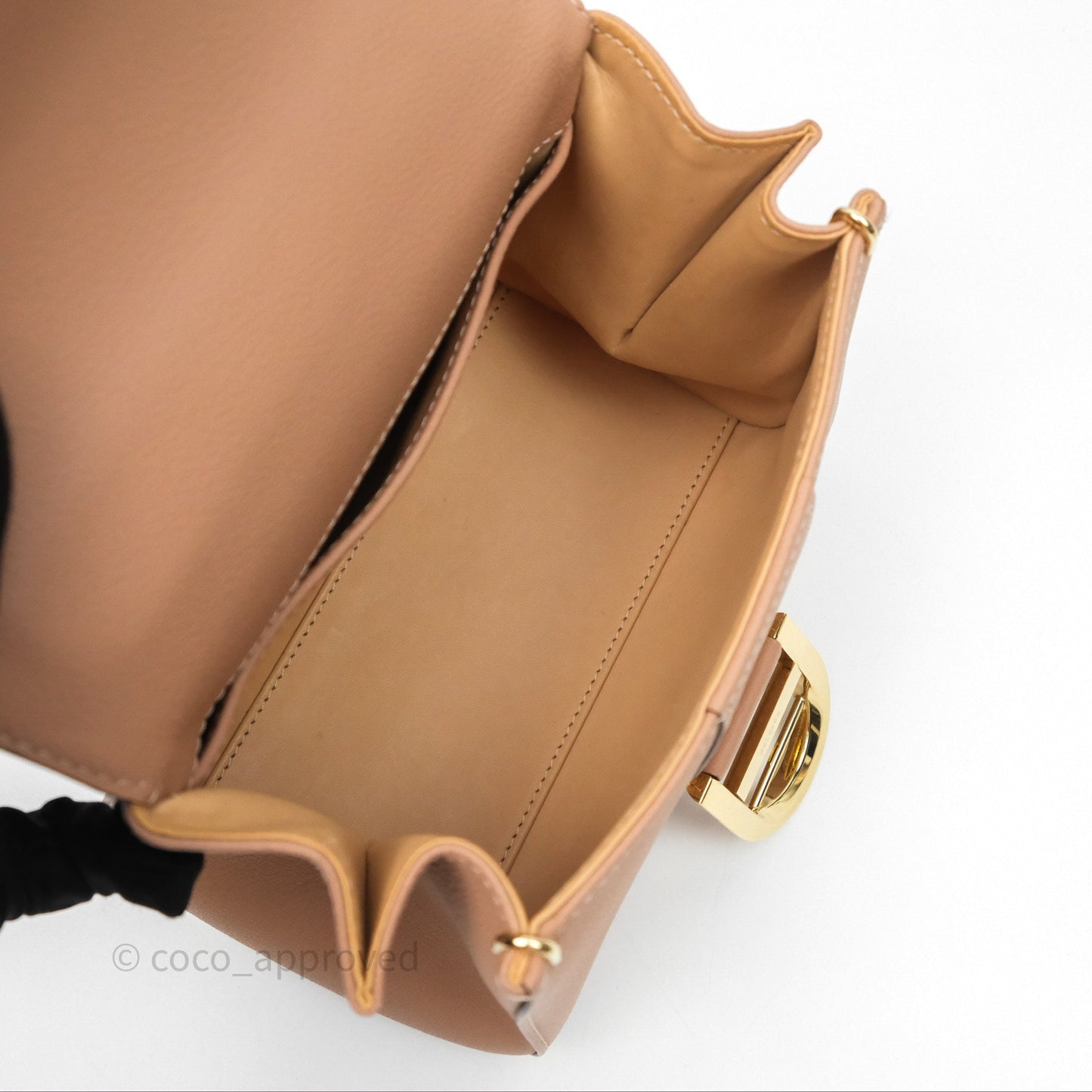 Delvaux Mini Brillant Bag Vison Grained Calfskin Gold Hardware with Twilly