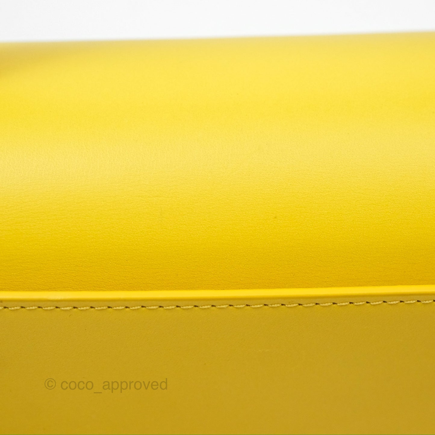 Loewe Small Goya Bag Yellow Silk Calfskin