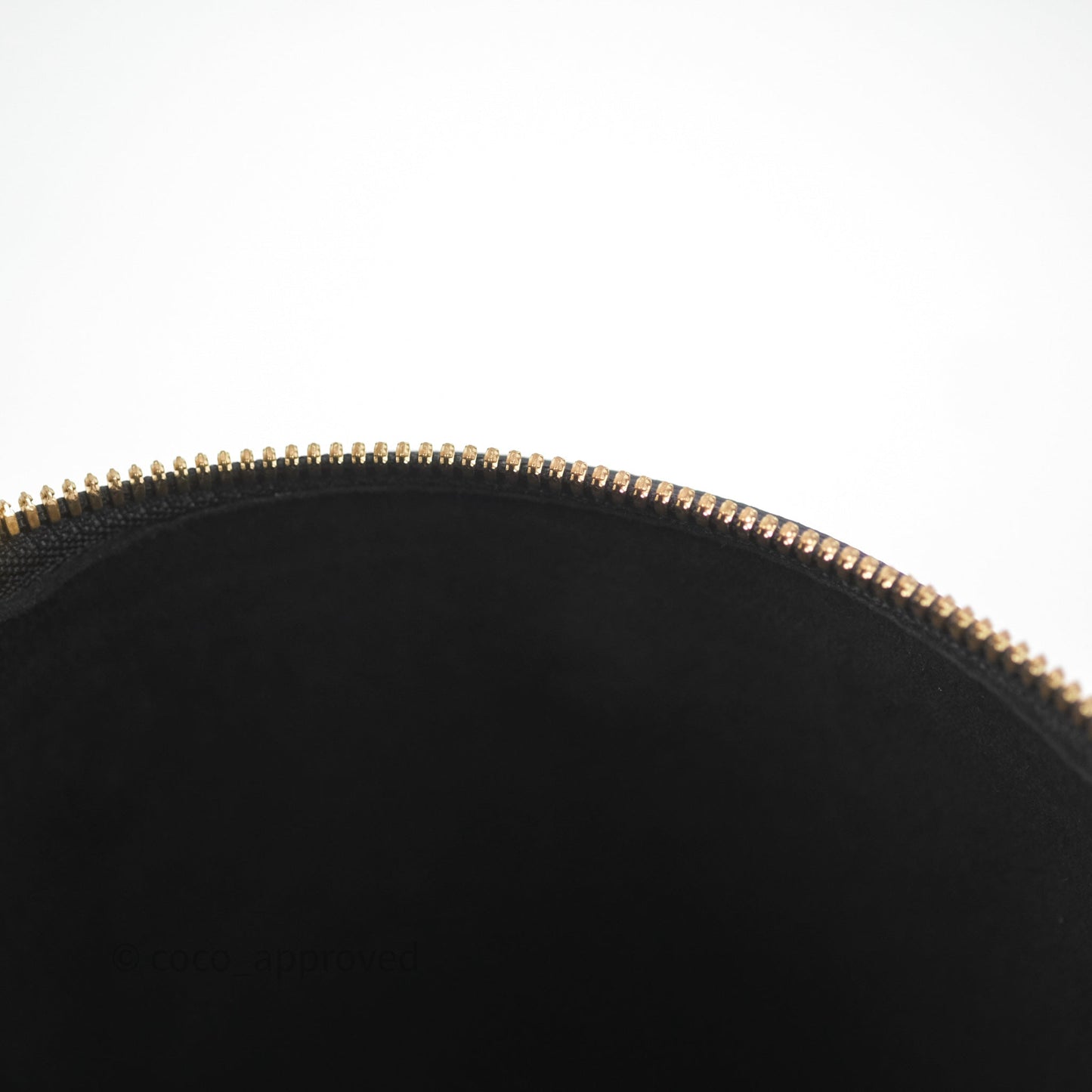 Louis Vuitton Monogram Canvas Reverse Cannes Bag