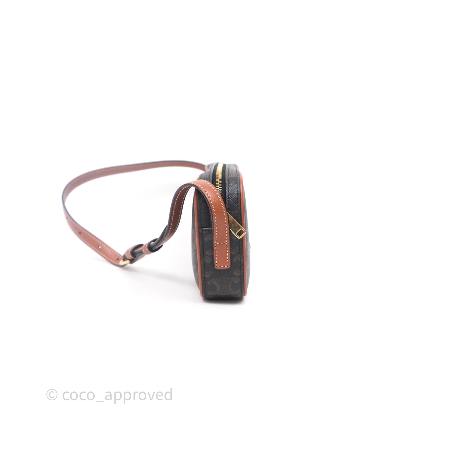 Celine Mini Camera Shoulder Bag Triomphe Canvas Tan
