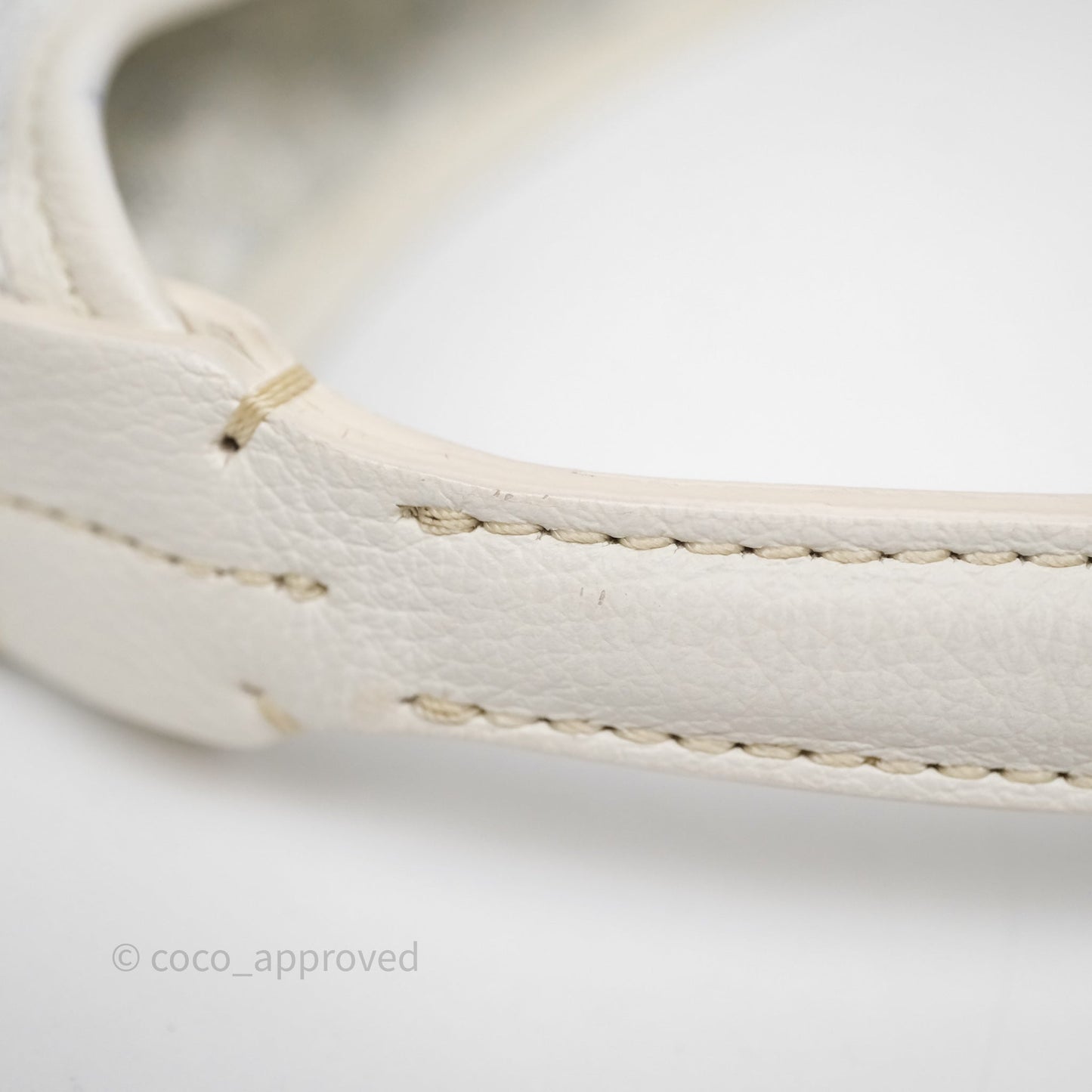 Goyard Bohème Hobo Bag PM White Goyardine Canvas