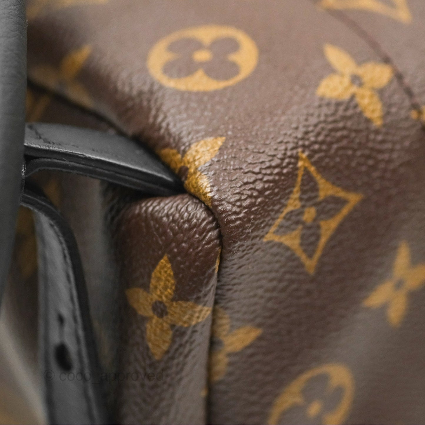 Louis Vuitton Palm Springs Backpack⁣ Monogram PM