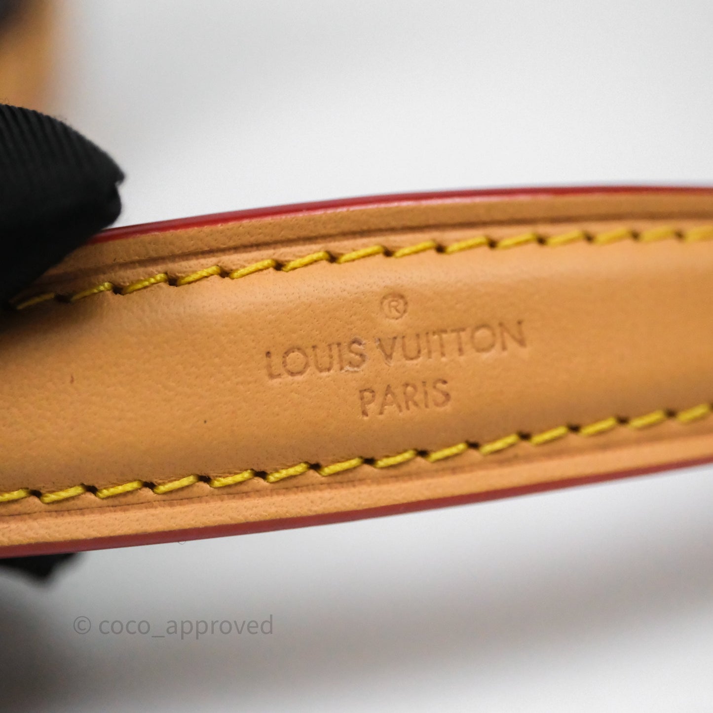 Louis Vuitton Nano Noe Monogram Canvas