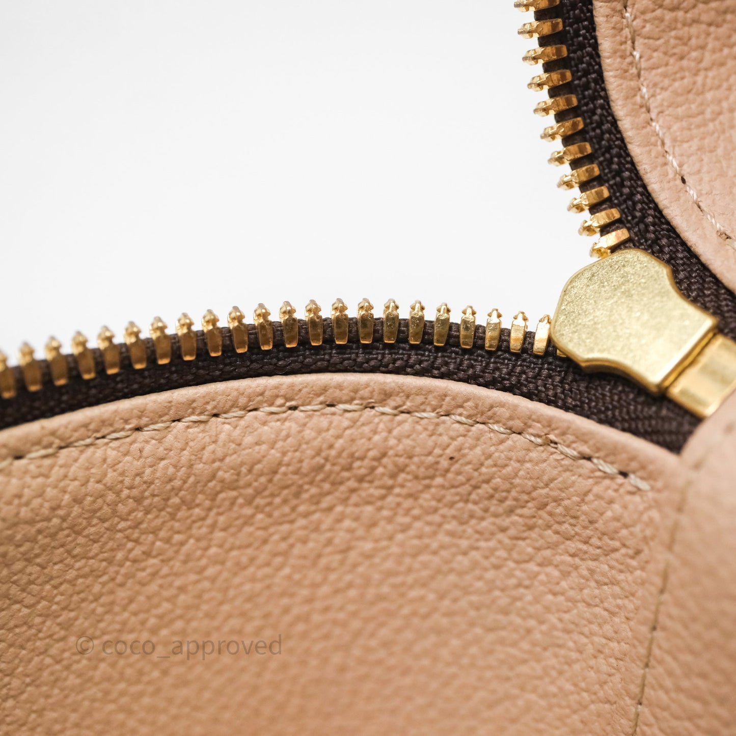 Louis Vuitton Nice Nano Monogram Canvas