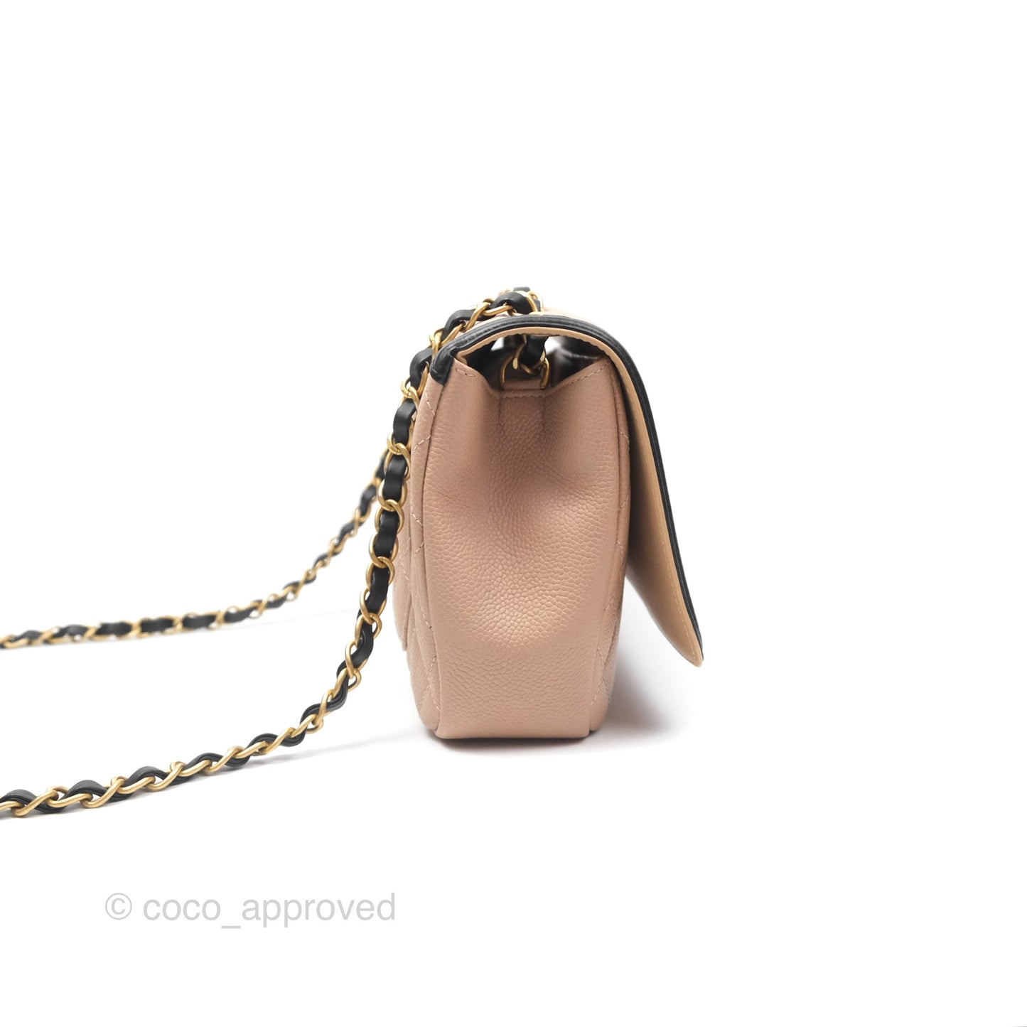 Chanel Quilted Medium CC Filigree Flap Beige Black Caviar