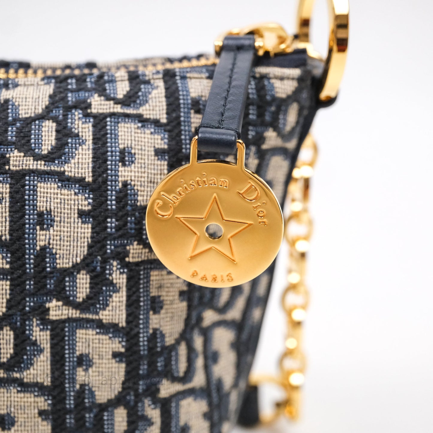 Christian Dior Oblique Star Chain Hobo Bag