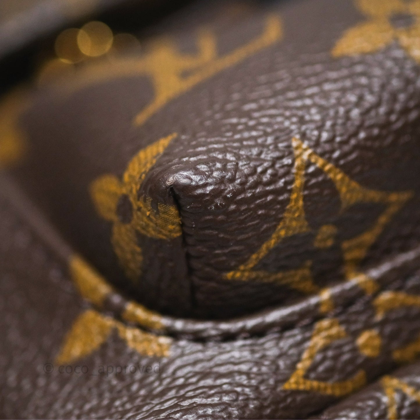 Louis Vuitton Monogram Mini Palm Springs Backpack⁣