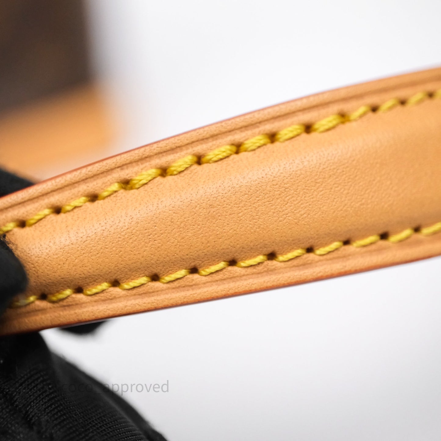Louis Vuitton Nano Noe Monogram