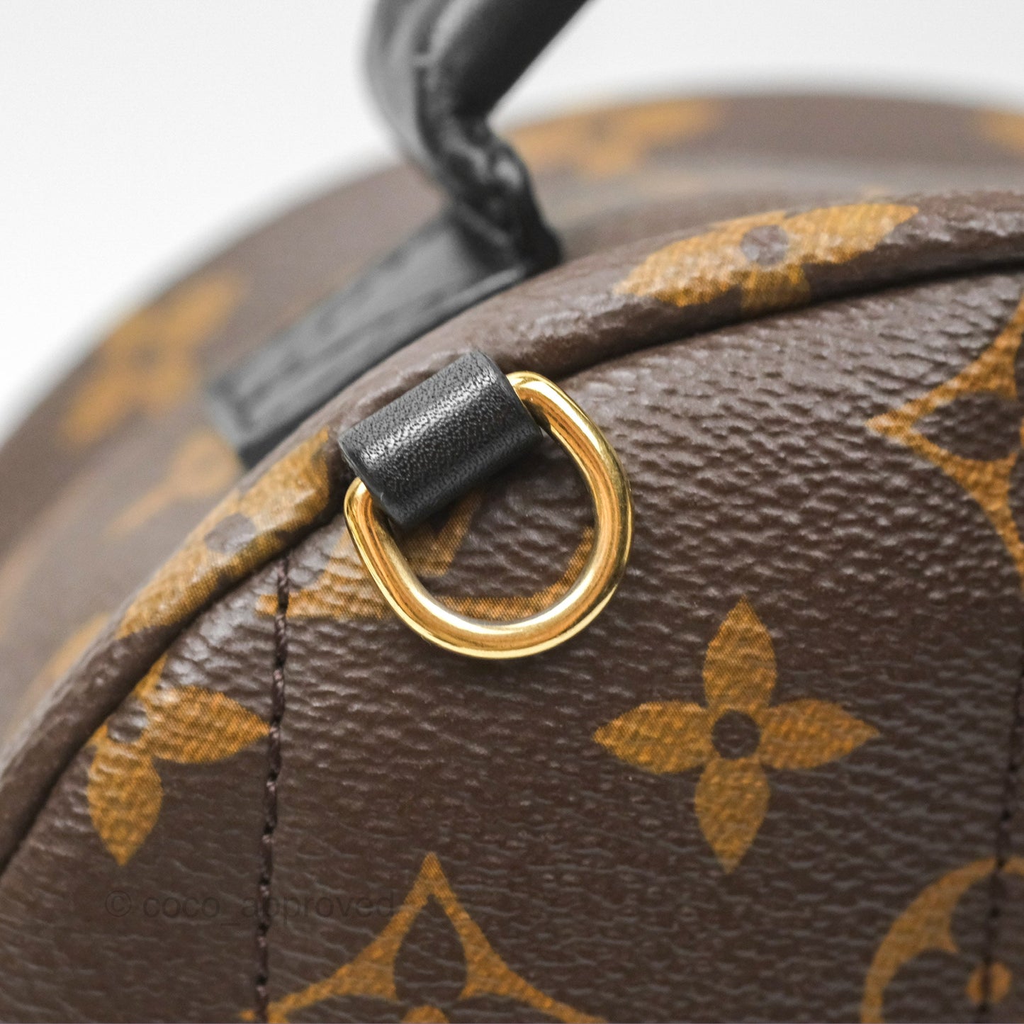 Louis Vuitton Mini Palm Springs Backpack⁣ Monogram Canvas